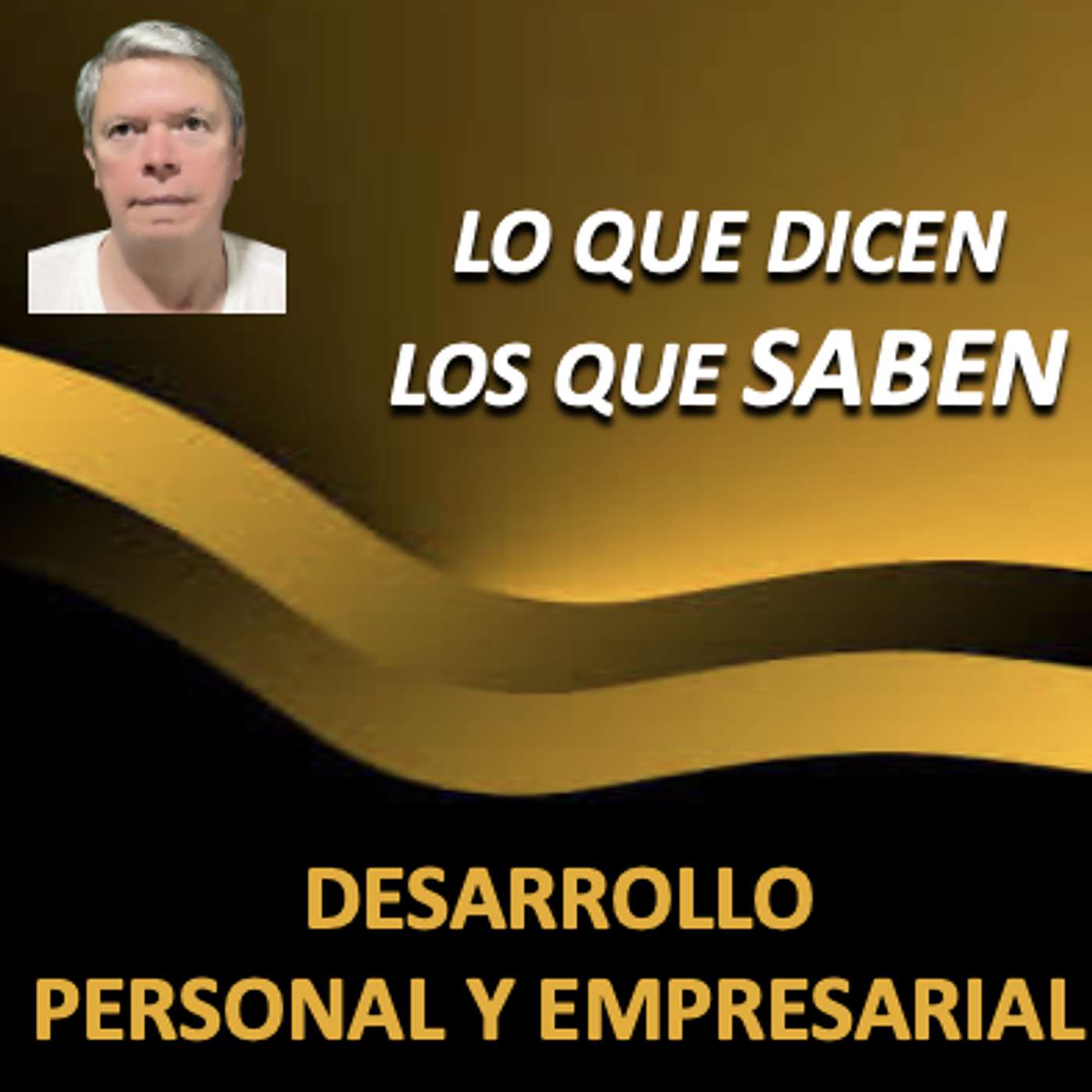 LO QUE DICEN LOS QUE SABEN