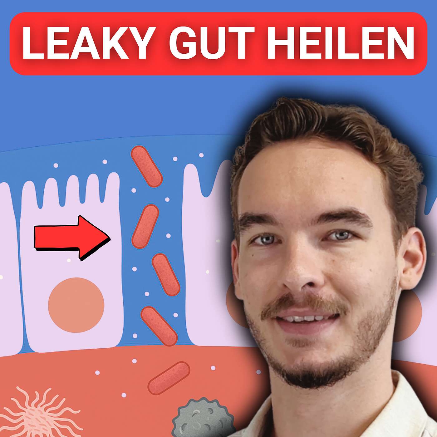 Leaky Gut loswerden - Neue Erkenntnisse!