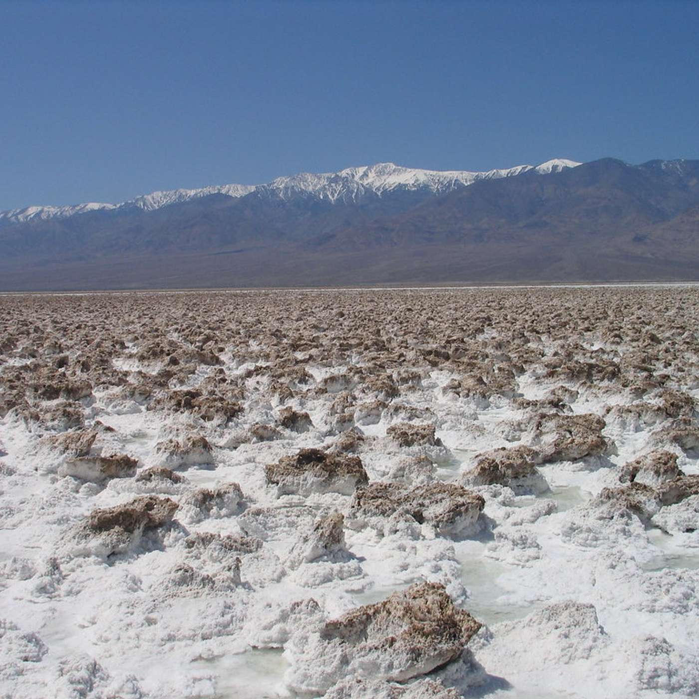 Santé, Science et Développement