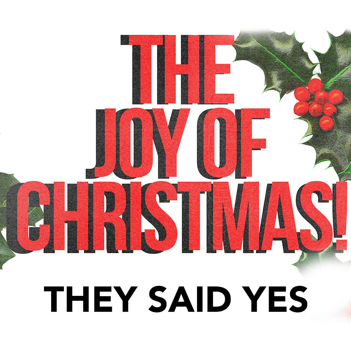 The Joy of Christmas - They Said Yes