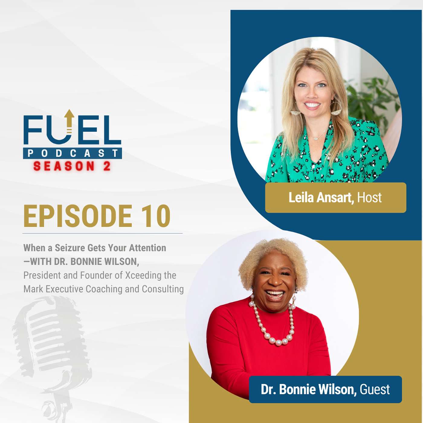 When a Seizure Gets Your Attention with Dr. Bonnie Wilson, President and Founder of Xceeding the Mark Executive Coaching and Consulting