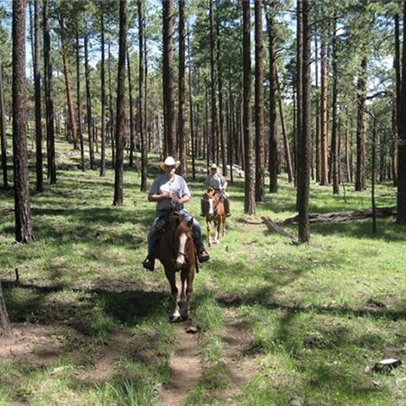 Ride GILA NATIONAL FOREST on Equestrian Legacy Radio's SADDLE UP AMERICA!