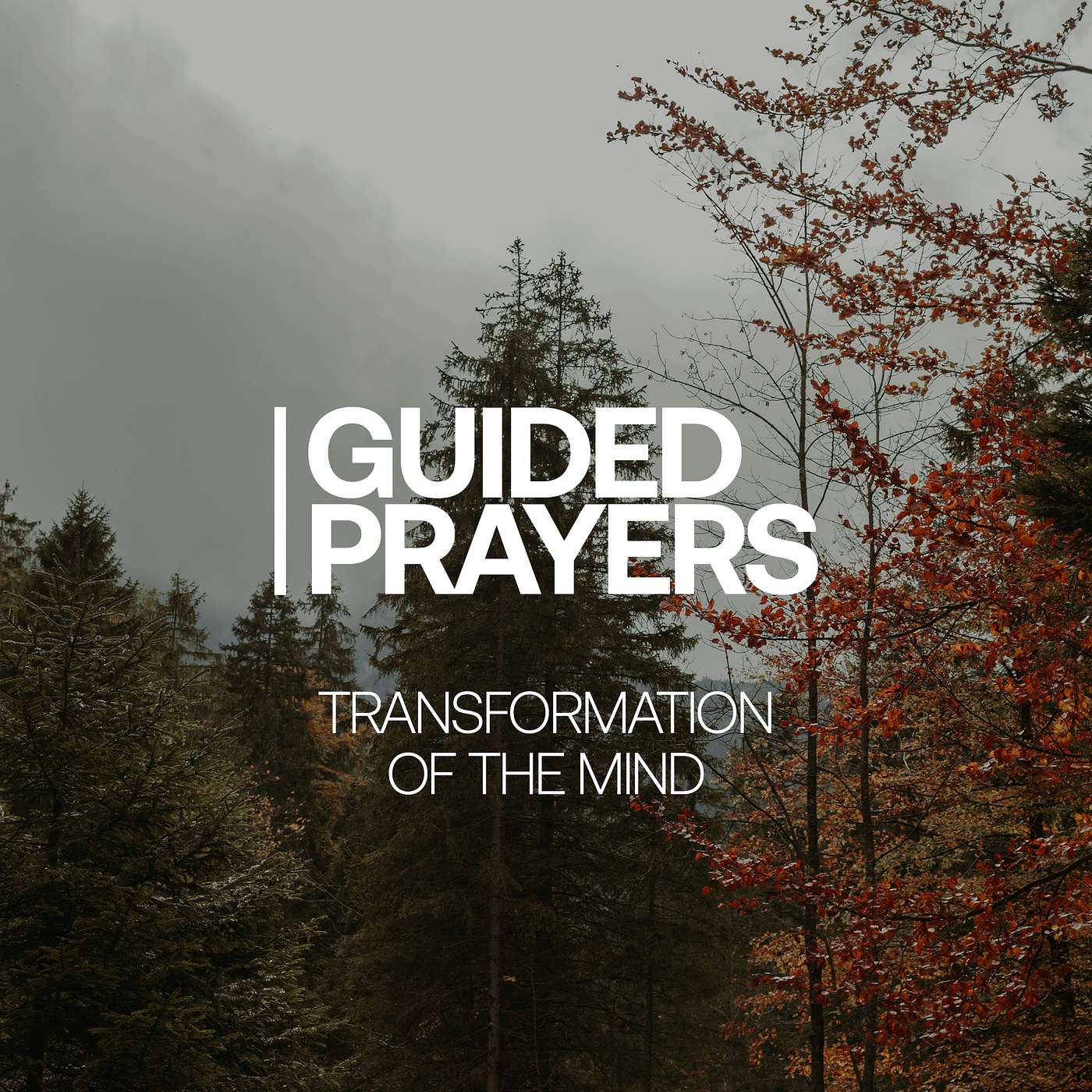 Be Shaped By His Truth | Guided Prayers