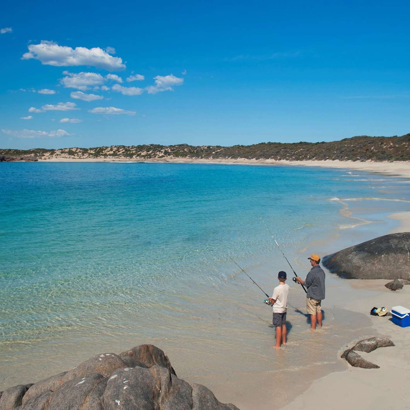 All The Gear But No Idea - The South Australian Fishing Podcast