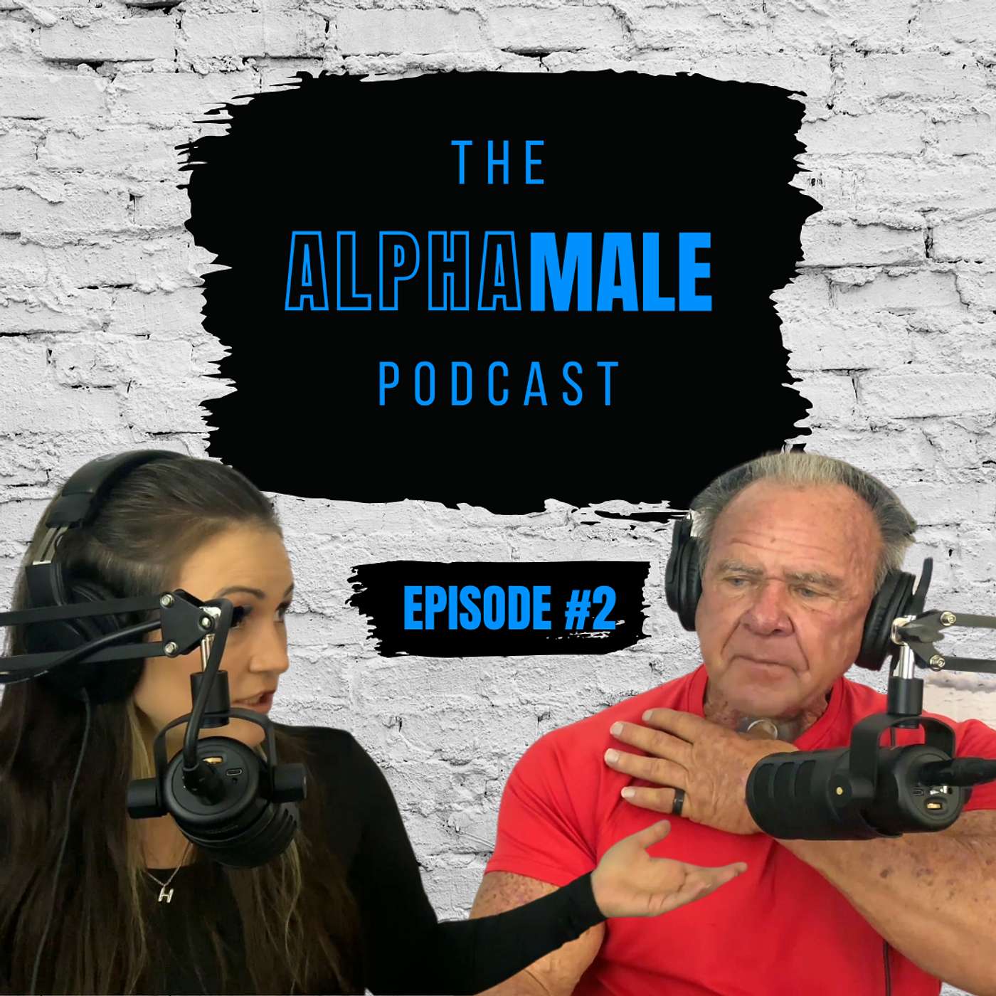 Why Men Need to Make These Changes NOW! The Alpha Male Podcast-Episode #2