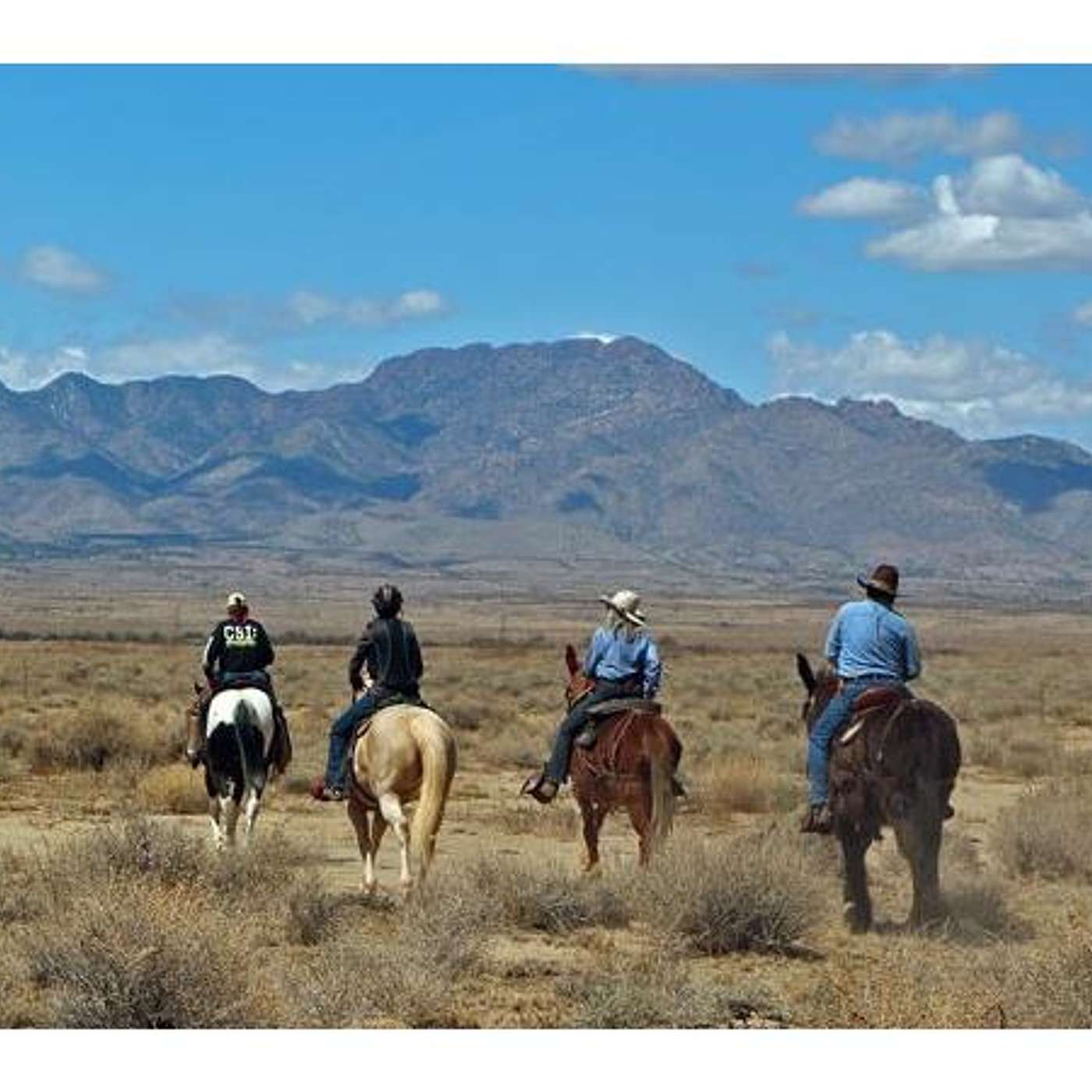 AN AMERICAN LEGACY on Equestrian Legacy Radio's SADDLE UP SATURDAY!