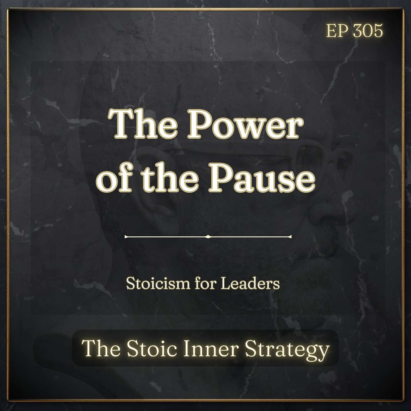 Ep 305 – The Power of the Pause episode artwork