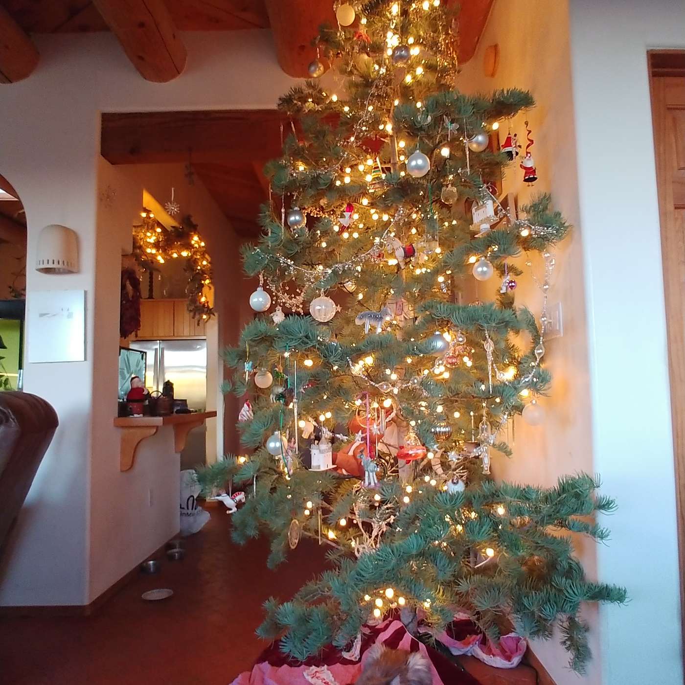 First Cup of Coffee - December 16, 2019