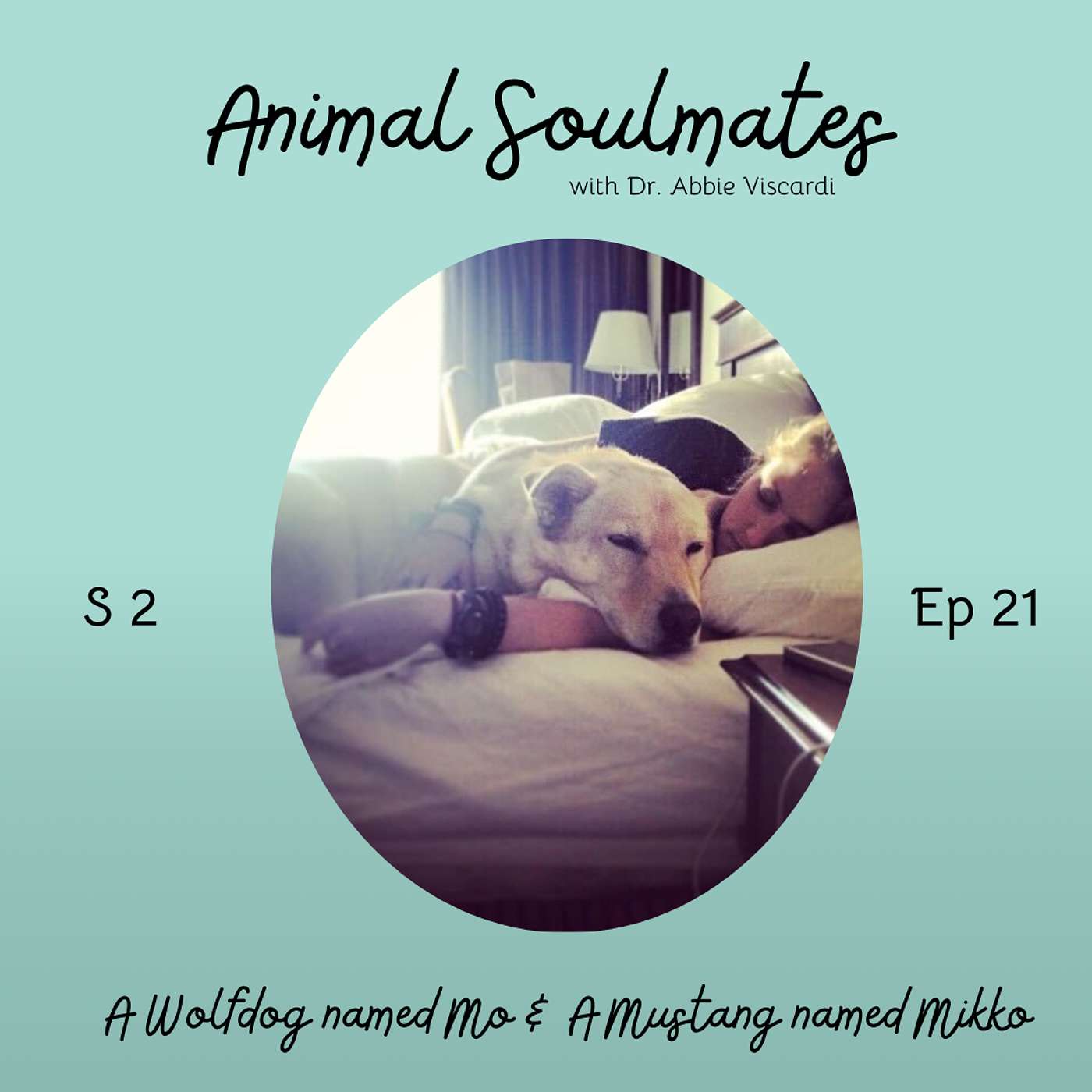 Animal Soulmates