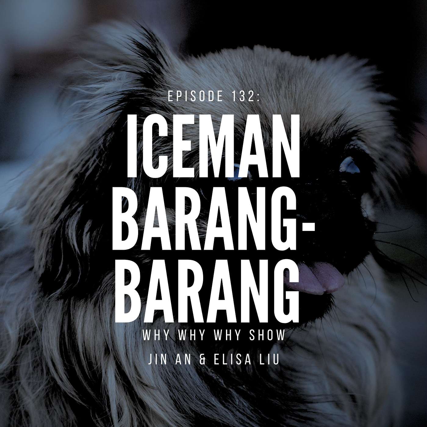 132: Iceman Barang-Barang