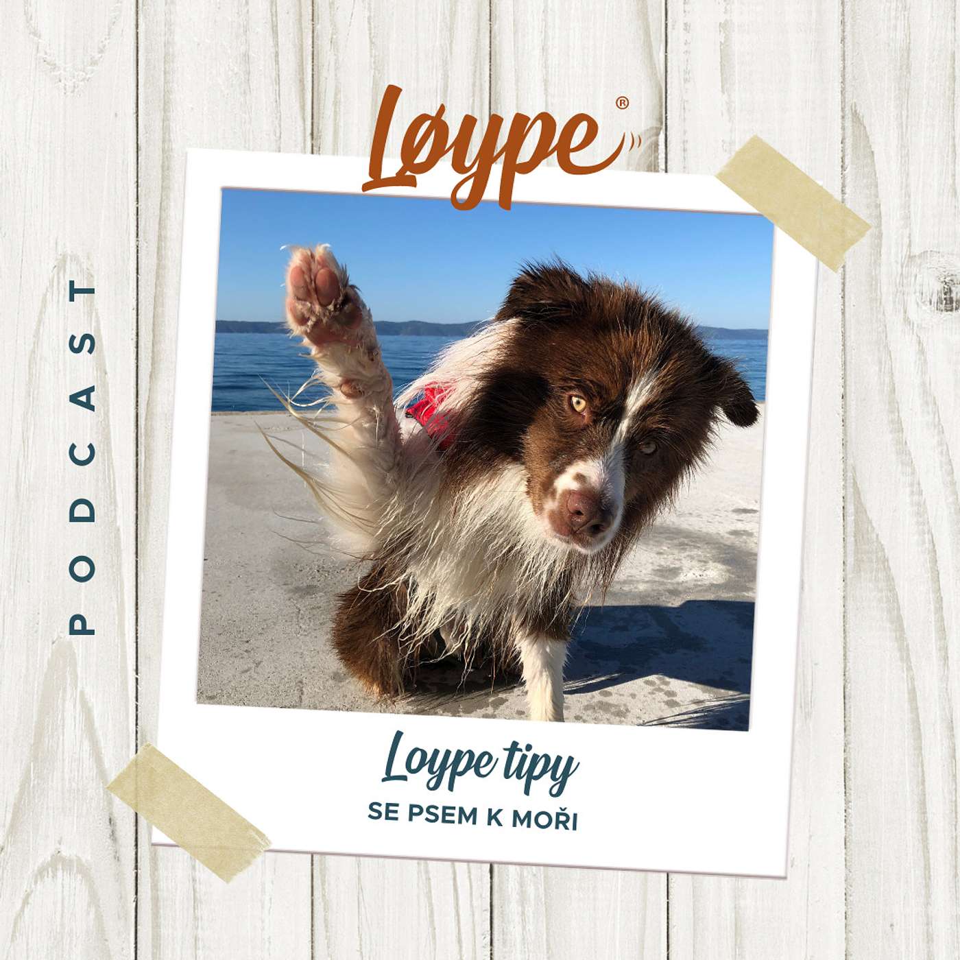 Løype podcast