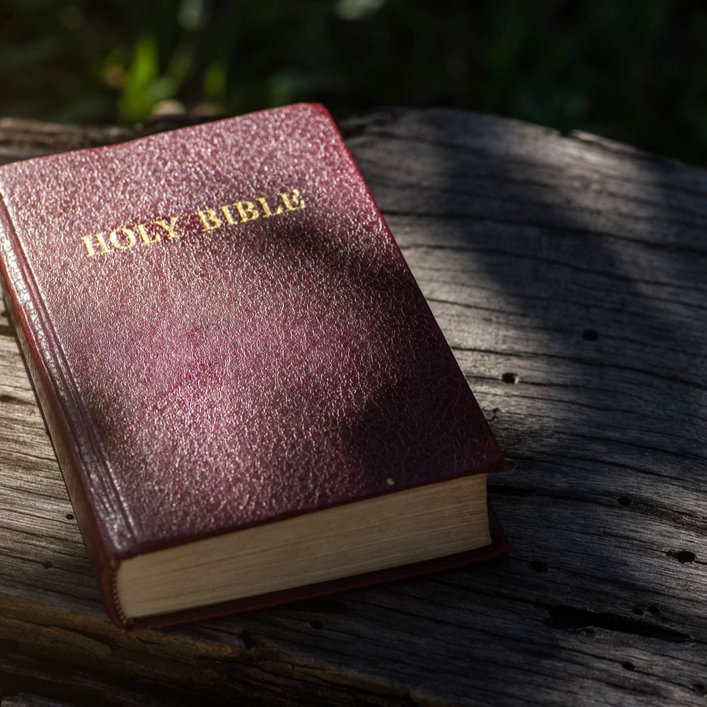 Progress with Calvinists - Seeking common ground on Faith and Works