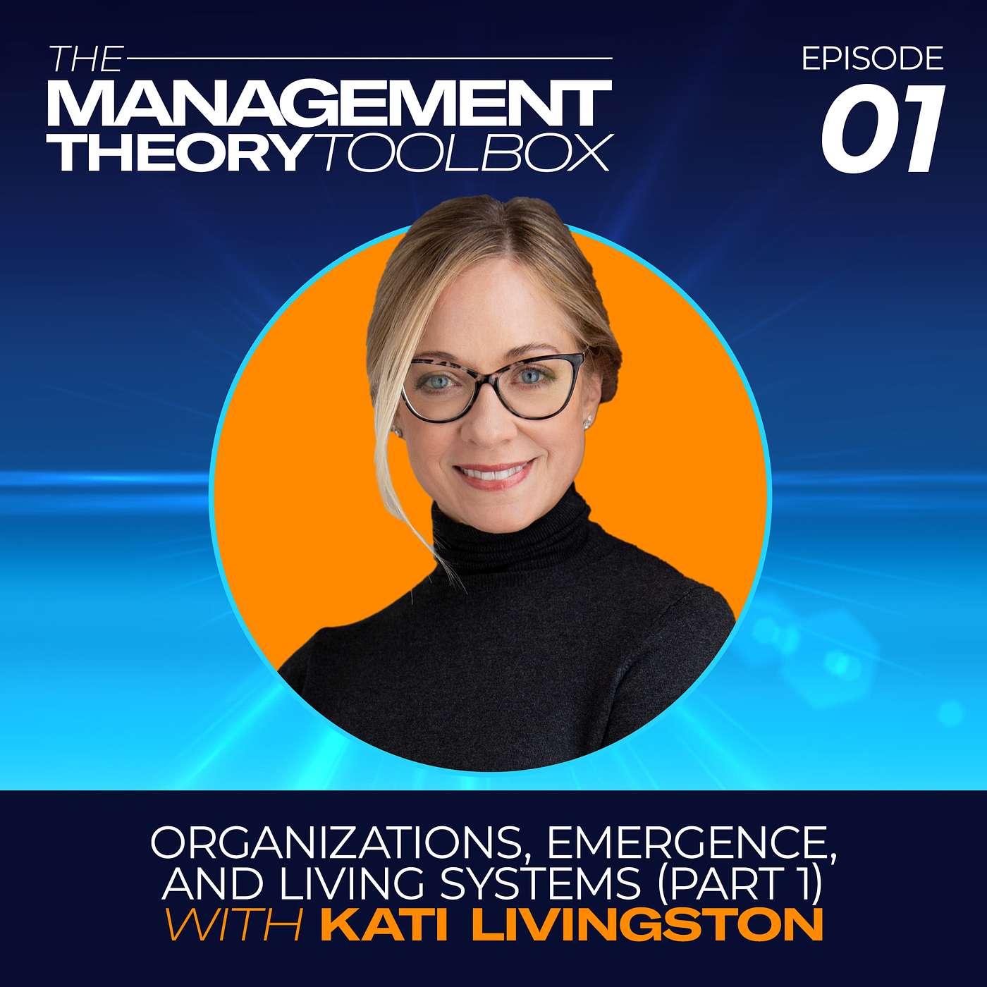 The Management Theory Toolbox
