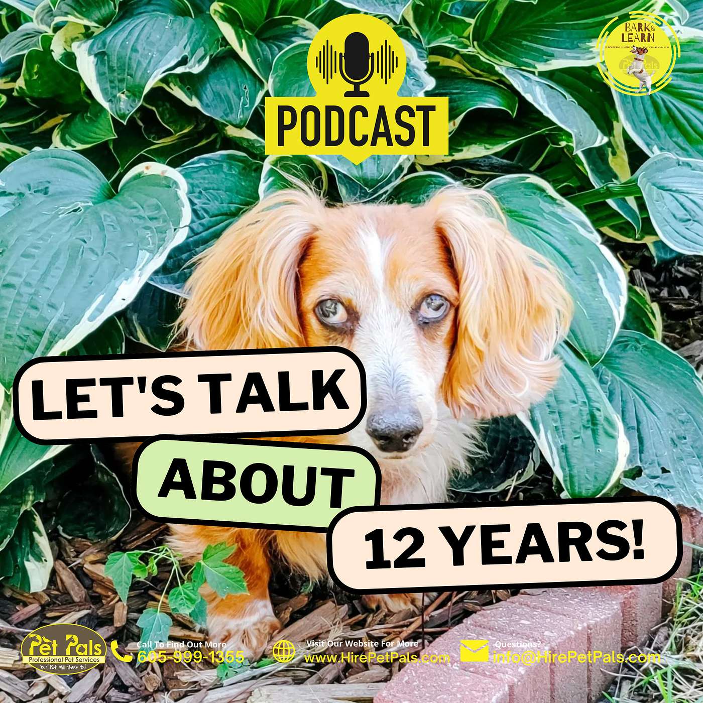 Pet Pals Bark & Learn
