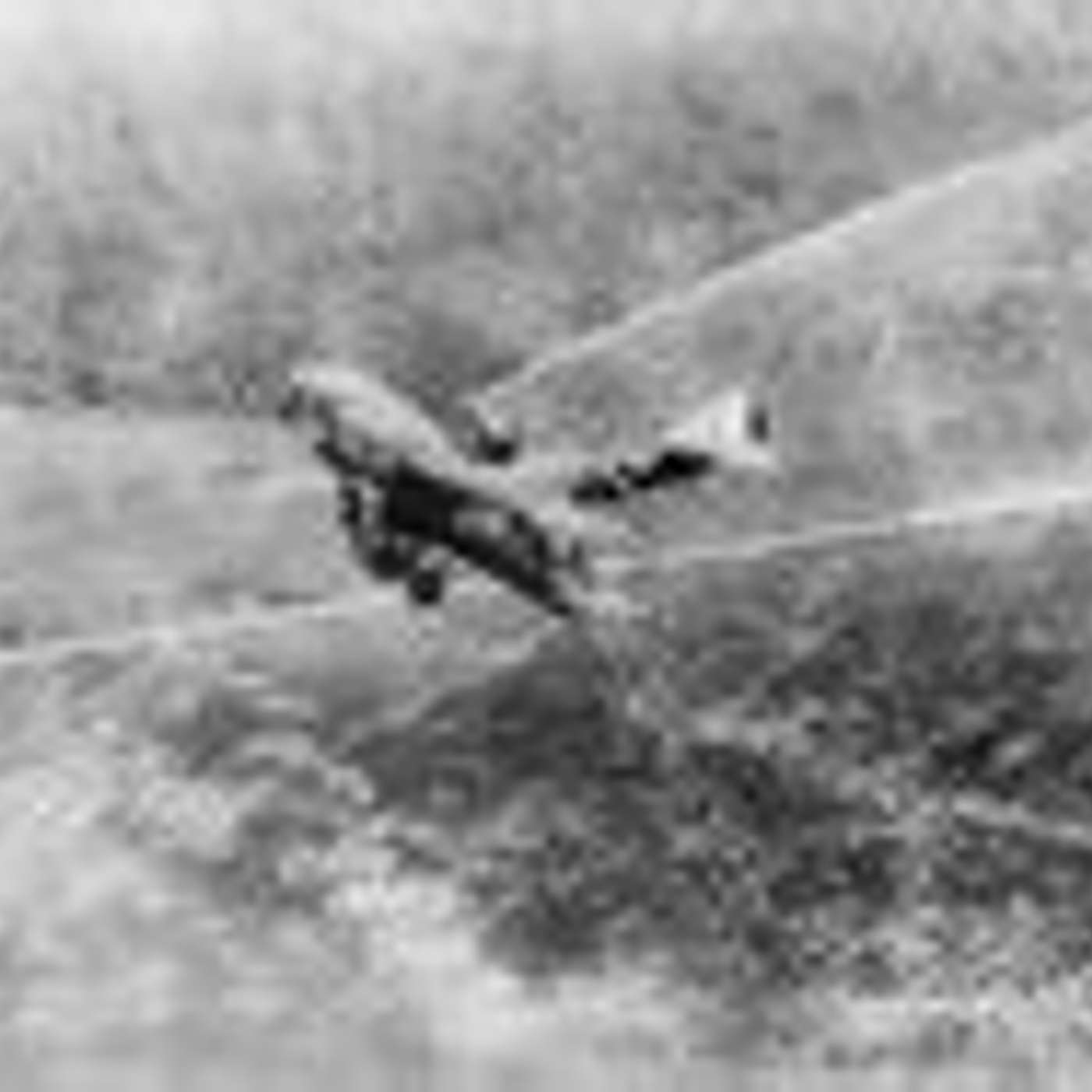 World War COVID Guerre mondiale: From WeaponWorld to PeaceWorld; Learner, begin...        De la terre en armes au monde paisible ; Apprenti, débute