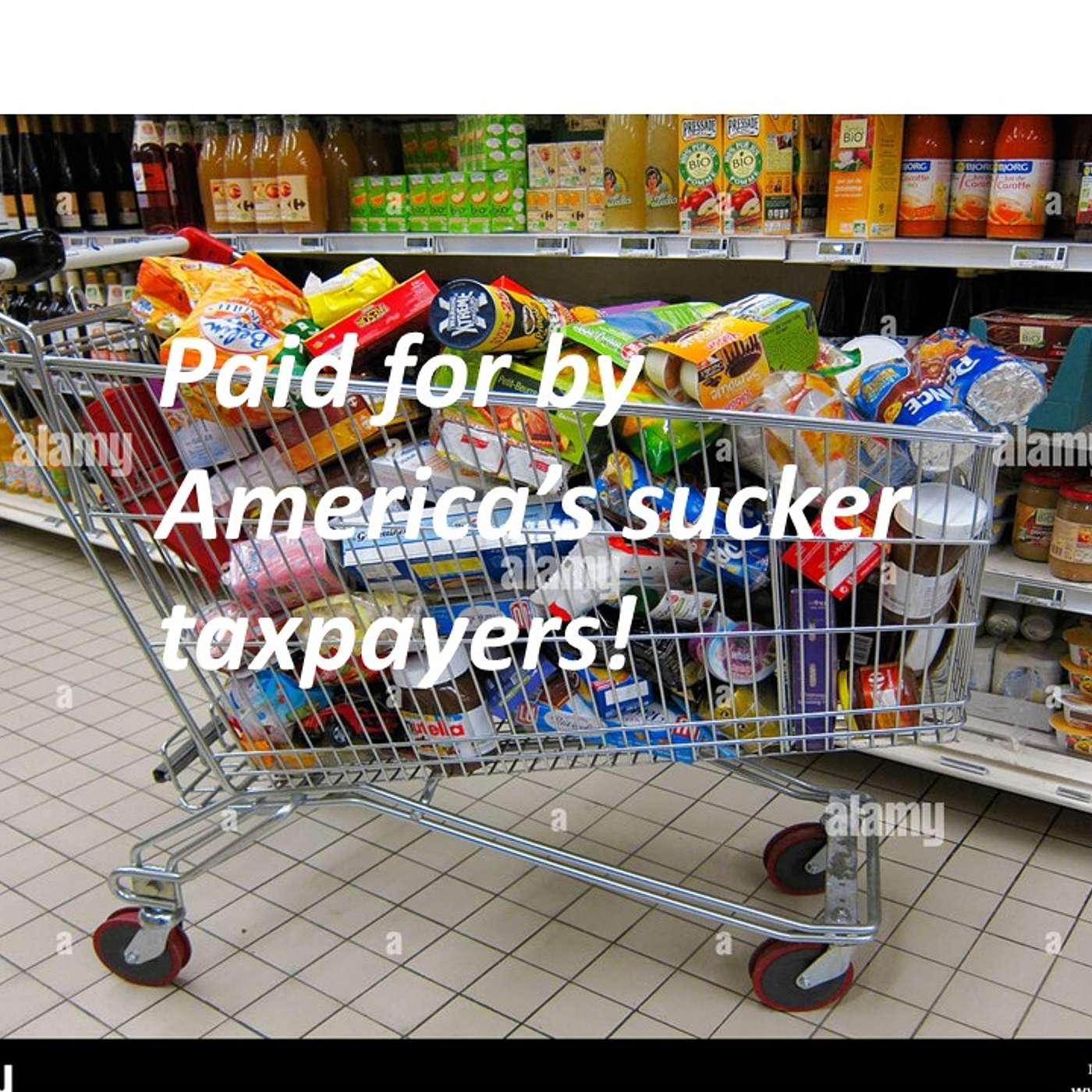 Illegals and full shopping carts