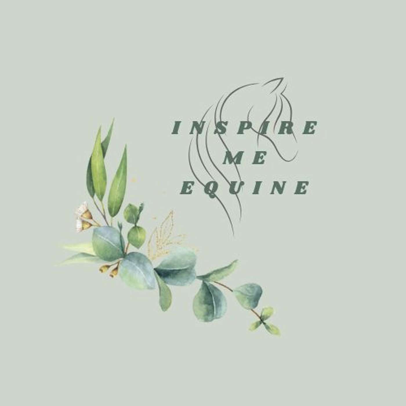 Inspire Me Equine with Debbie La-Haye of Horses Helping People, UK episode artwork