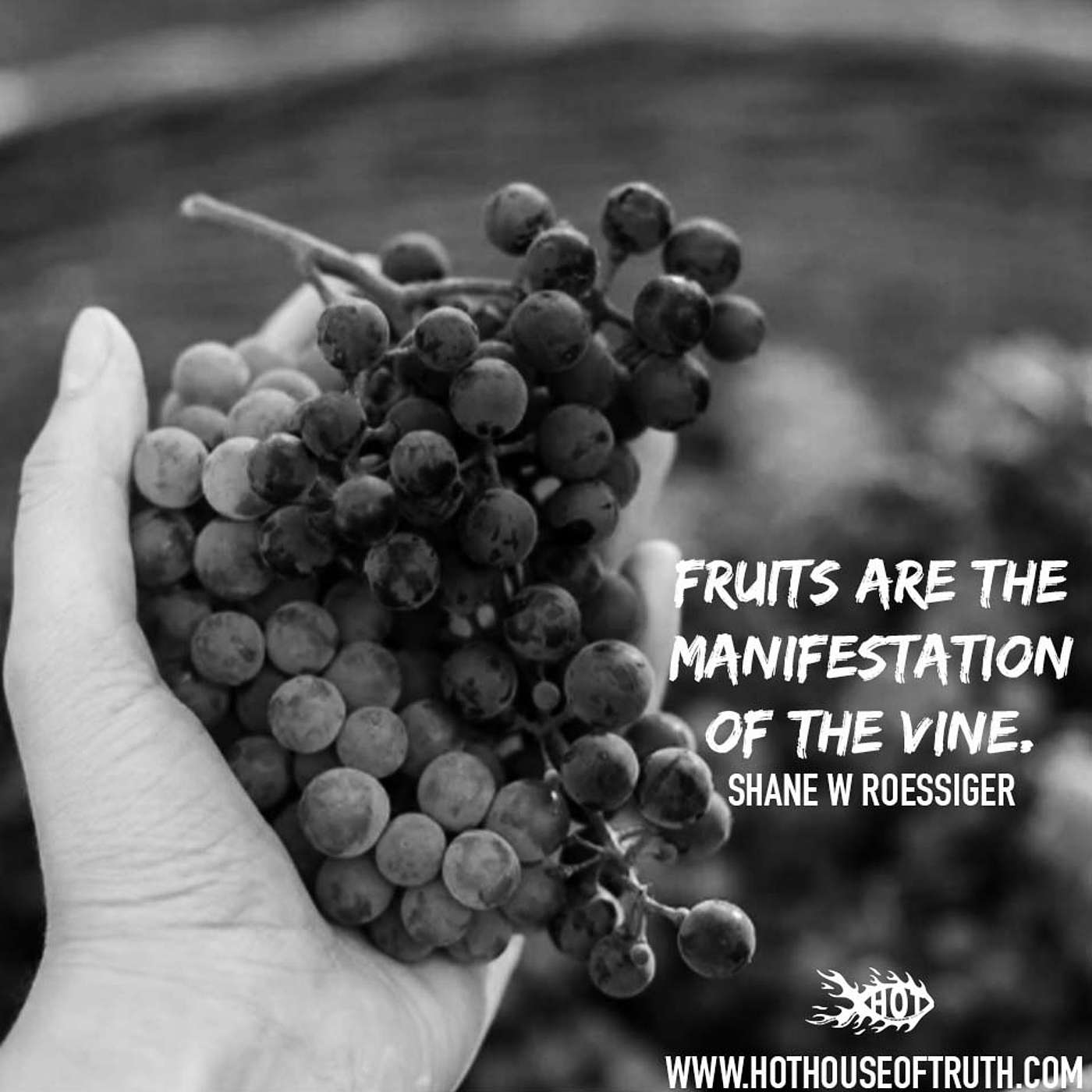 The Fruits Reveal the Roots - By Joe Pinto