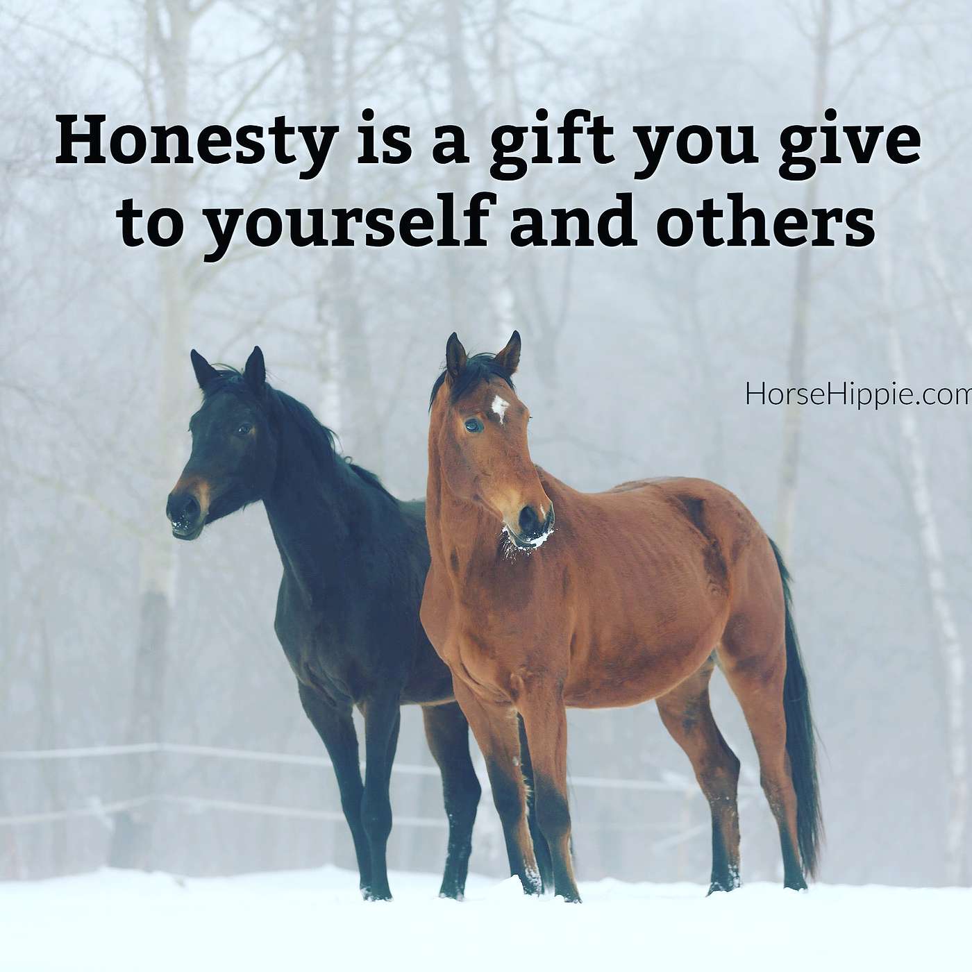 Thoughts About Honesty