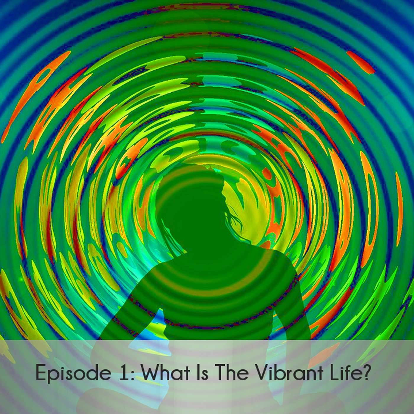Ep 1. Welcome to the Vibrant Life