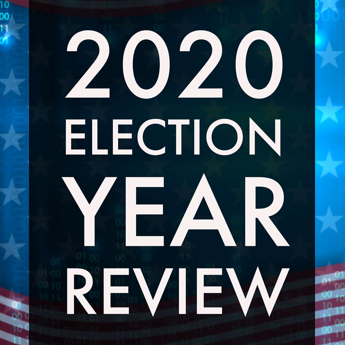 Our 2020 Election Year Review