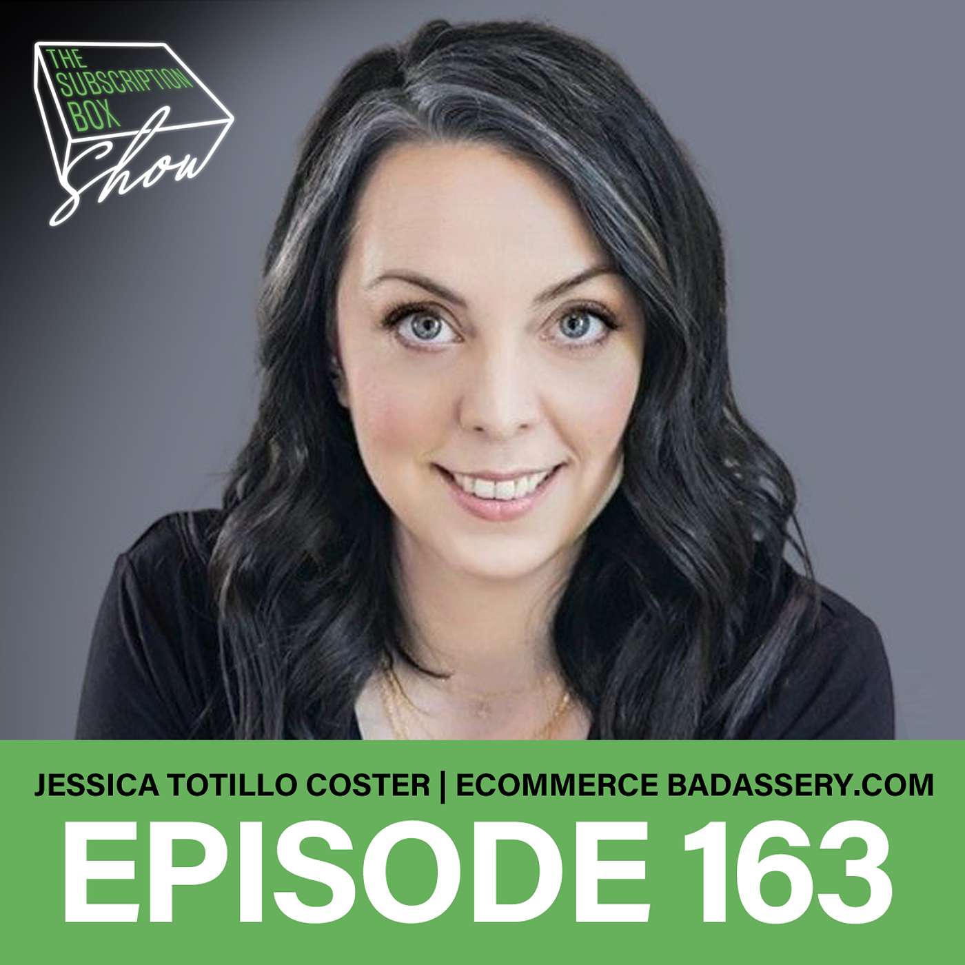 The Subscription Box Show