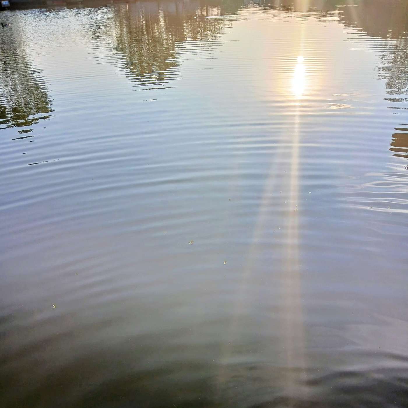 The Gentleness (of the shortening days)