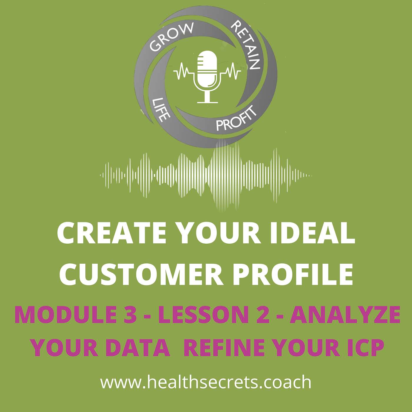 14. Create Your Ideal Patient Profile - Module 3 Lesson 2 - Analyse Your Data - Refine Your ICP