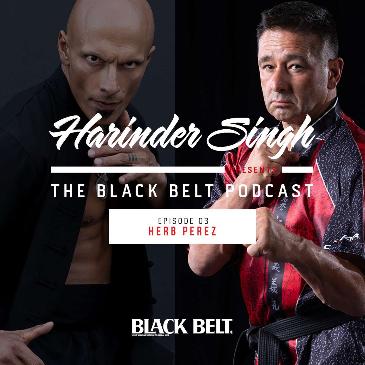 The Black Belt Podcast