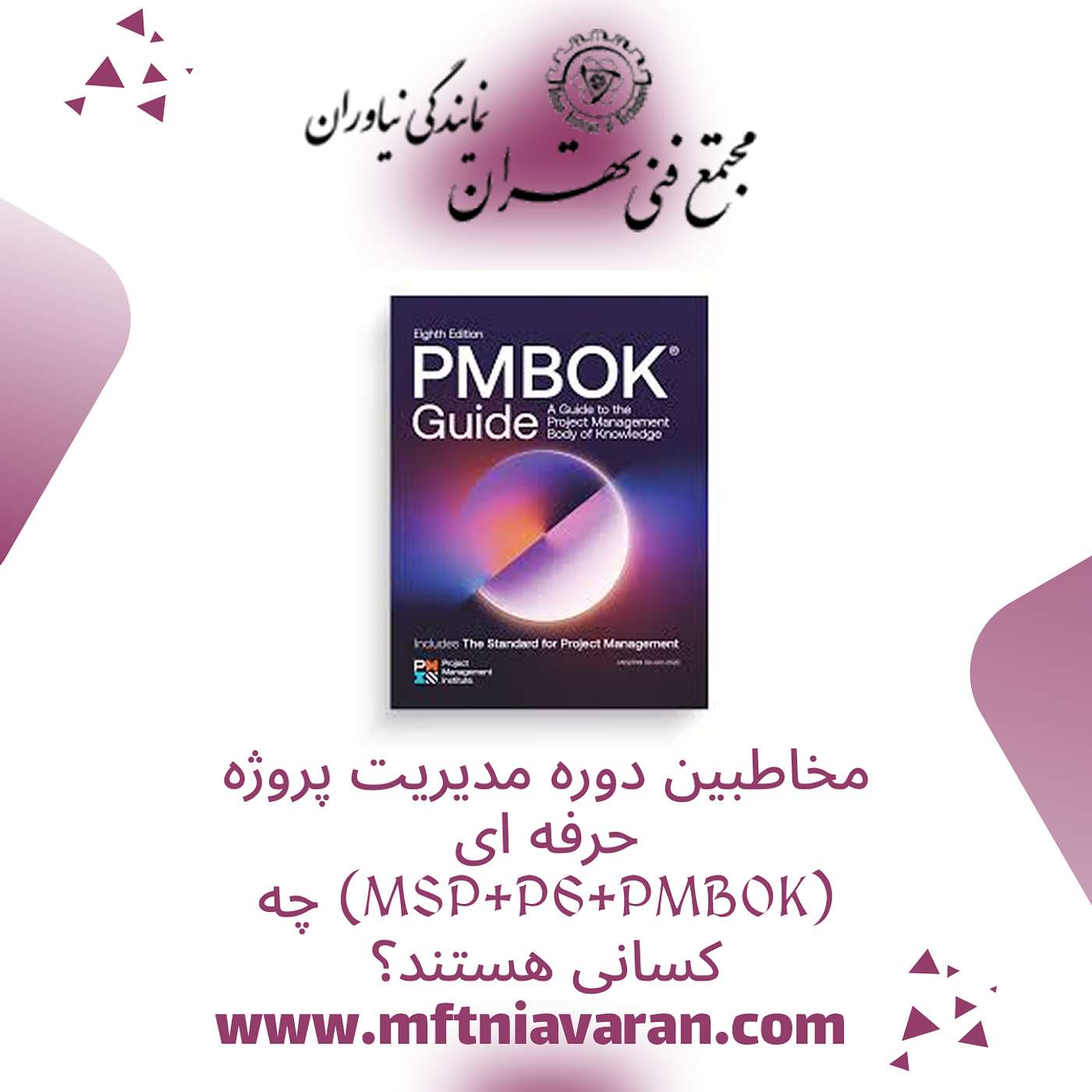 مخاطبین دوره مدیریت پروژه حرفه ای (MSP+P6+PMBOK) چه کسانی هستند؟