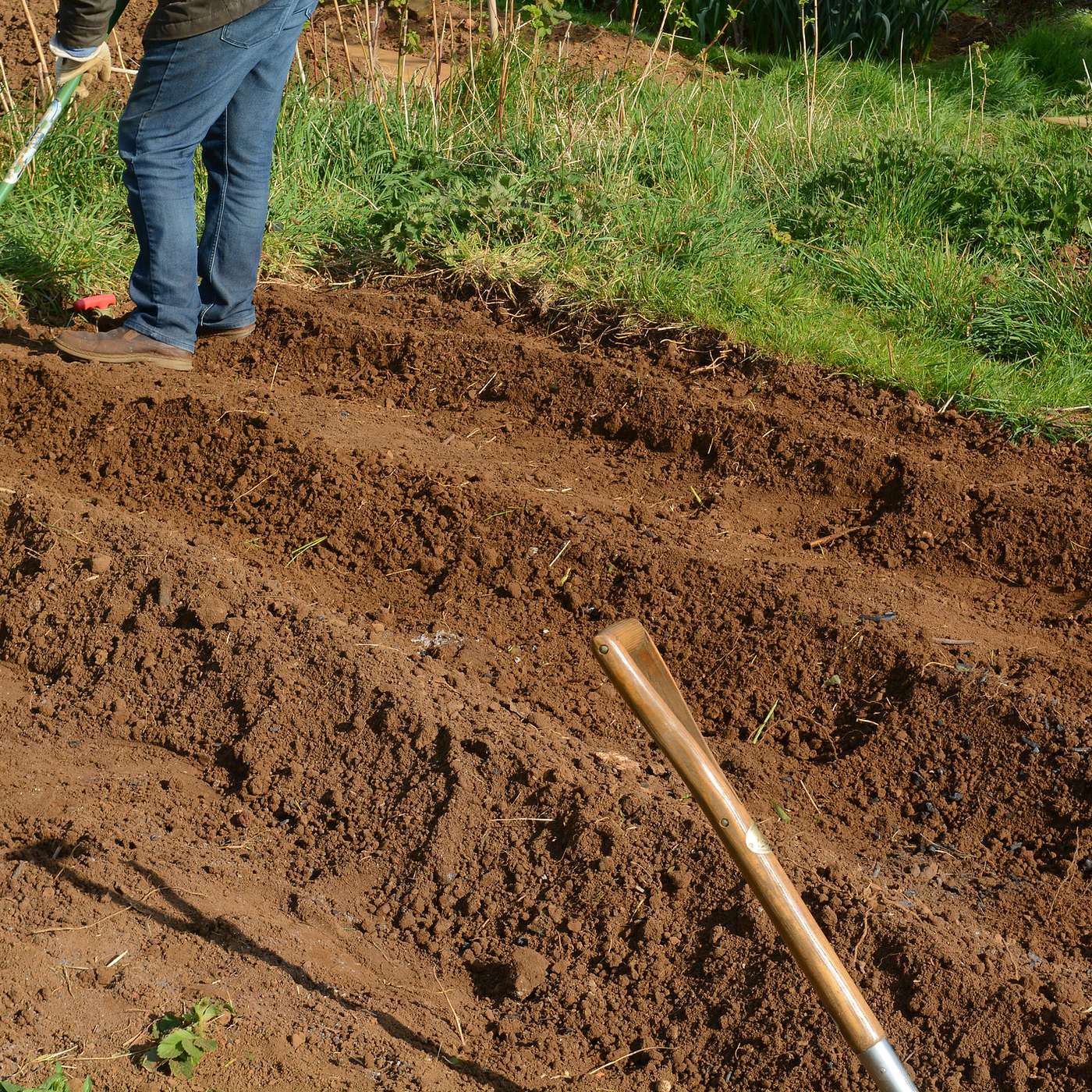 Episode 880 - The First Step in Planting, isn't Planting!