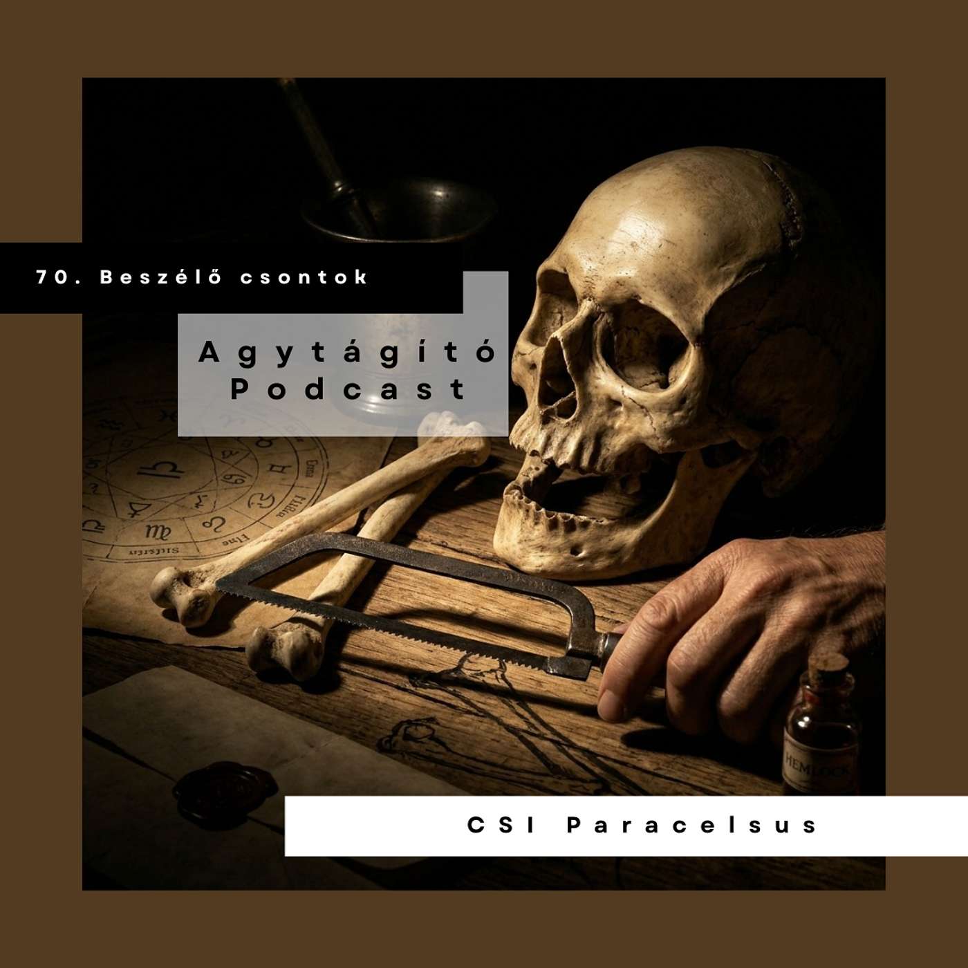 Beszélő csontok. CSI Paracelsus. episode artwork
