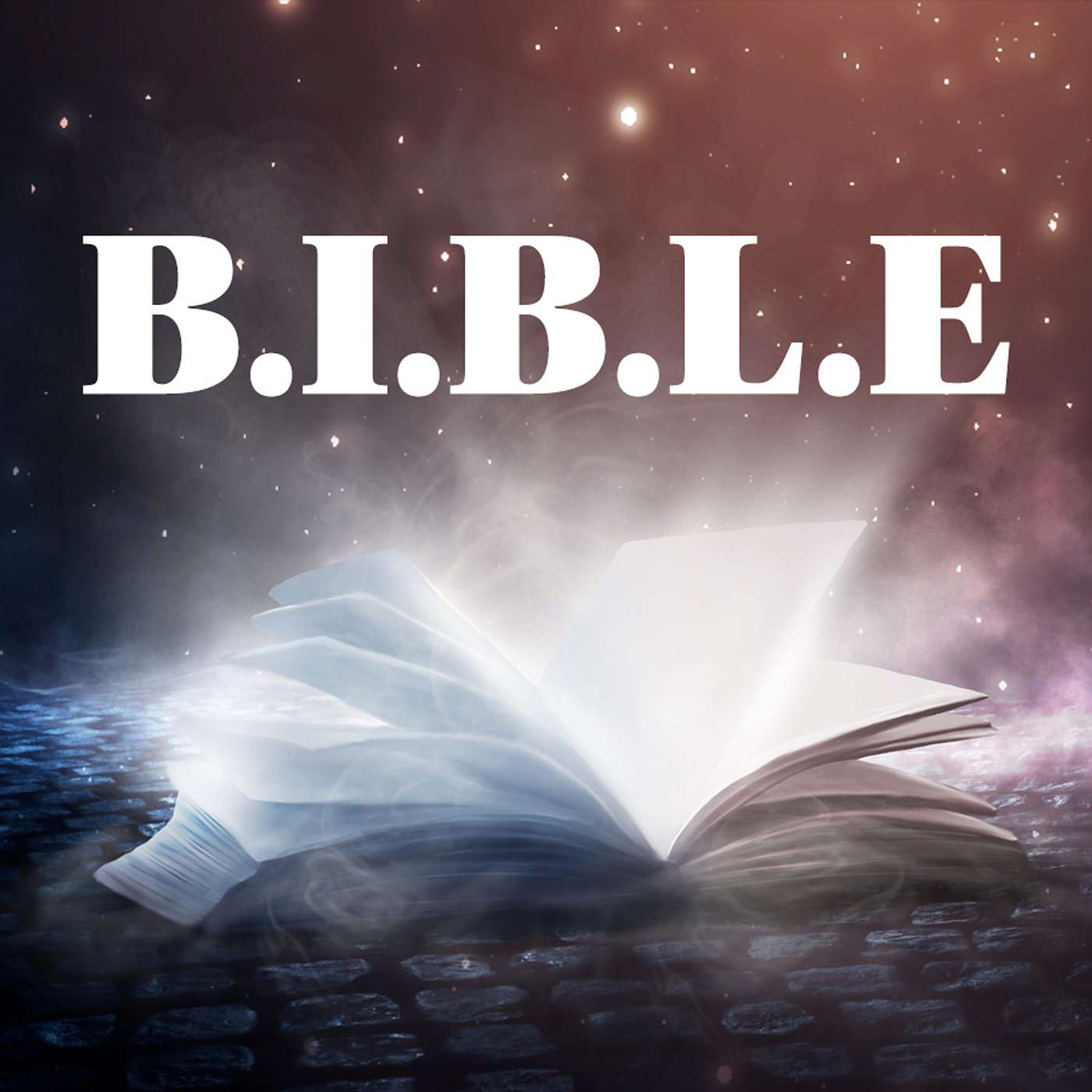 Episode 4: B.I.B.L.E