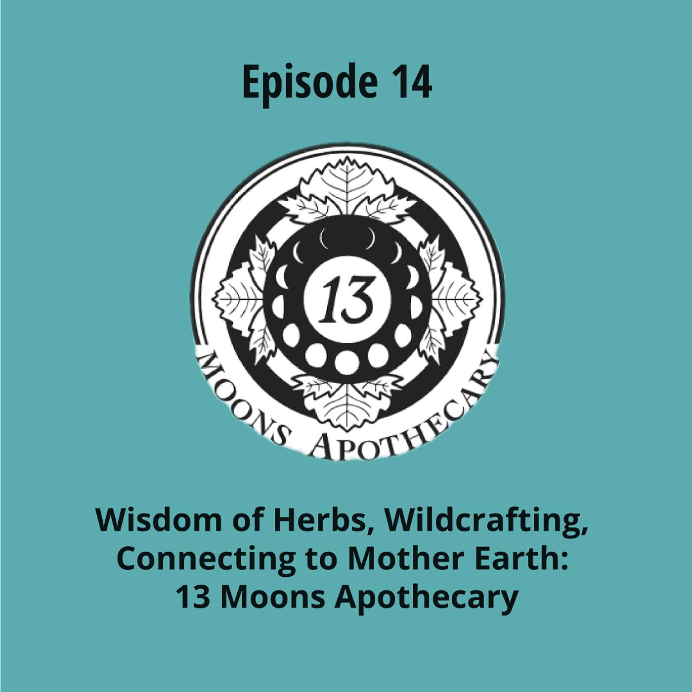Wisdom of Herbs, Wildcrafting, Connecting to Mother Earth: 13 Moons Apothecary
