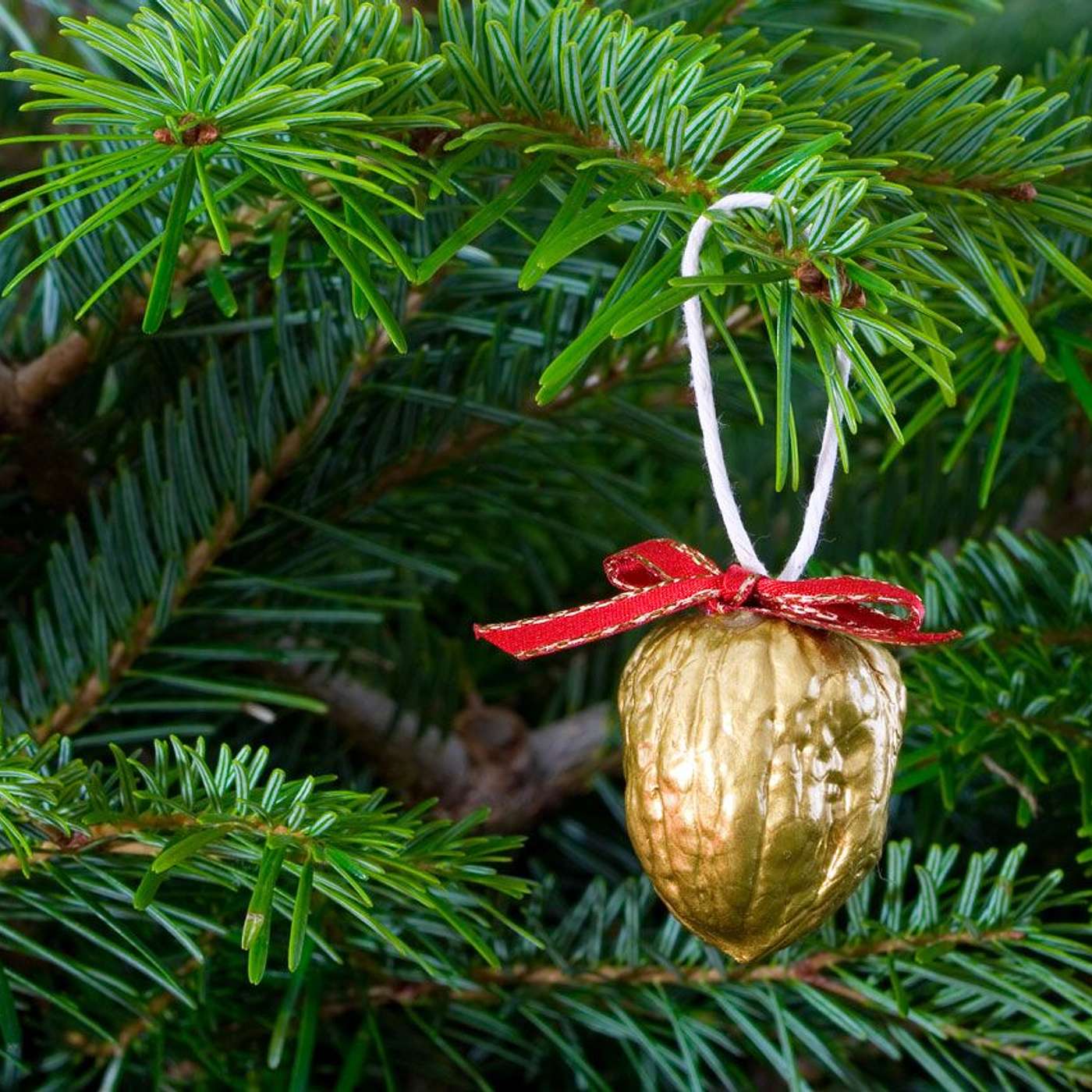 Celebrating Christmas with Family and Christ in a Consumer Age Celebrating Christmas with Family and Christ in a Consumer Age