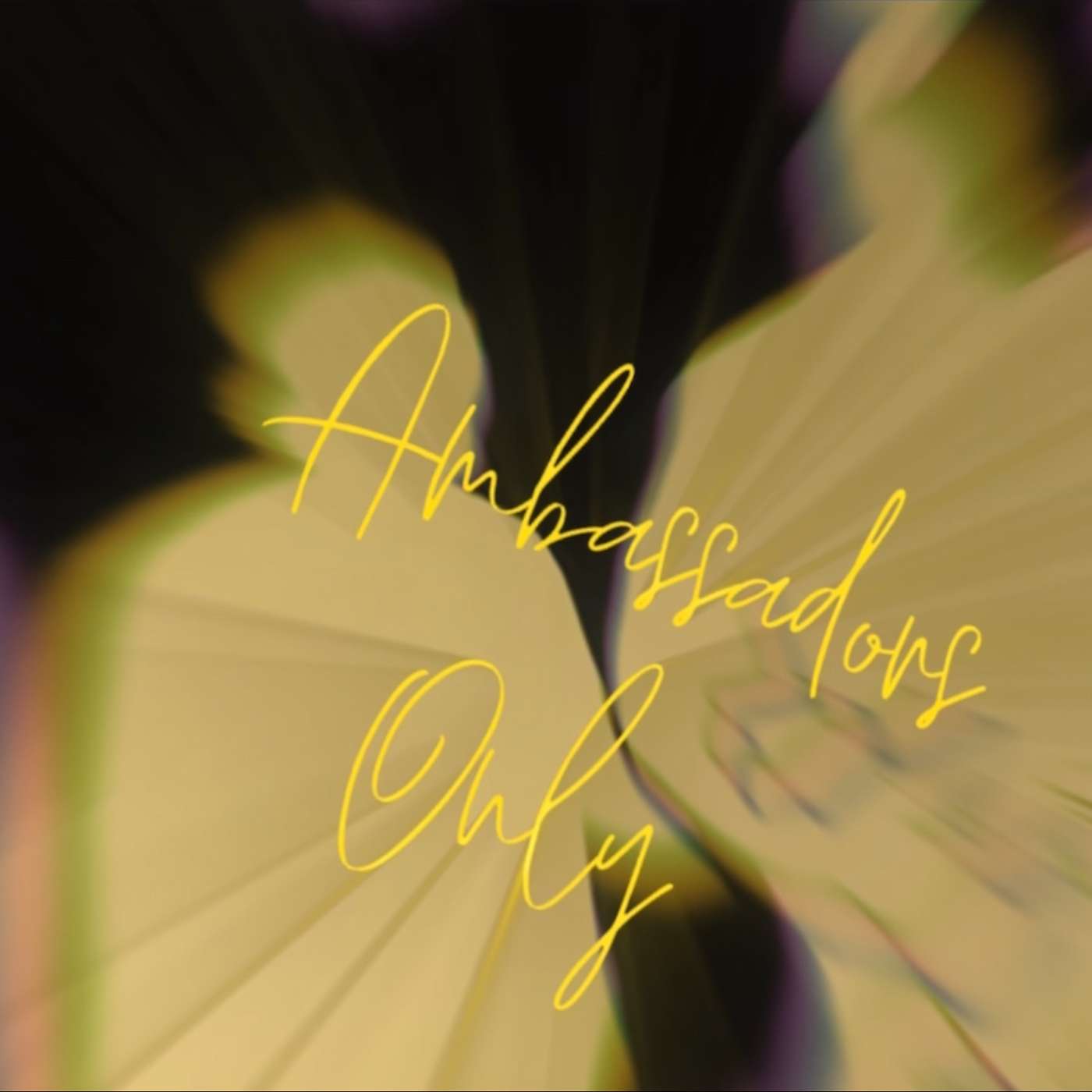 Ambassadors Only cover art