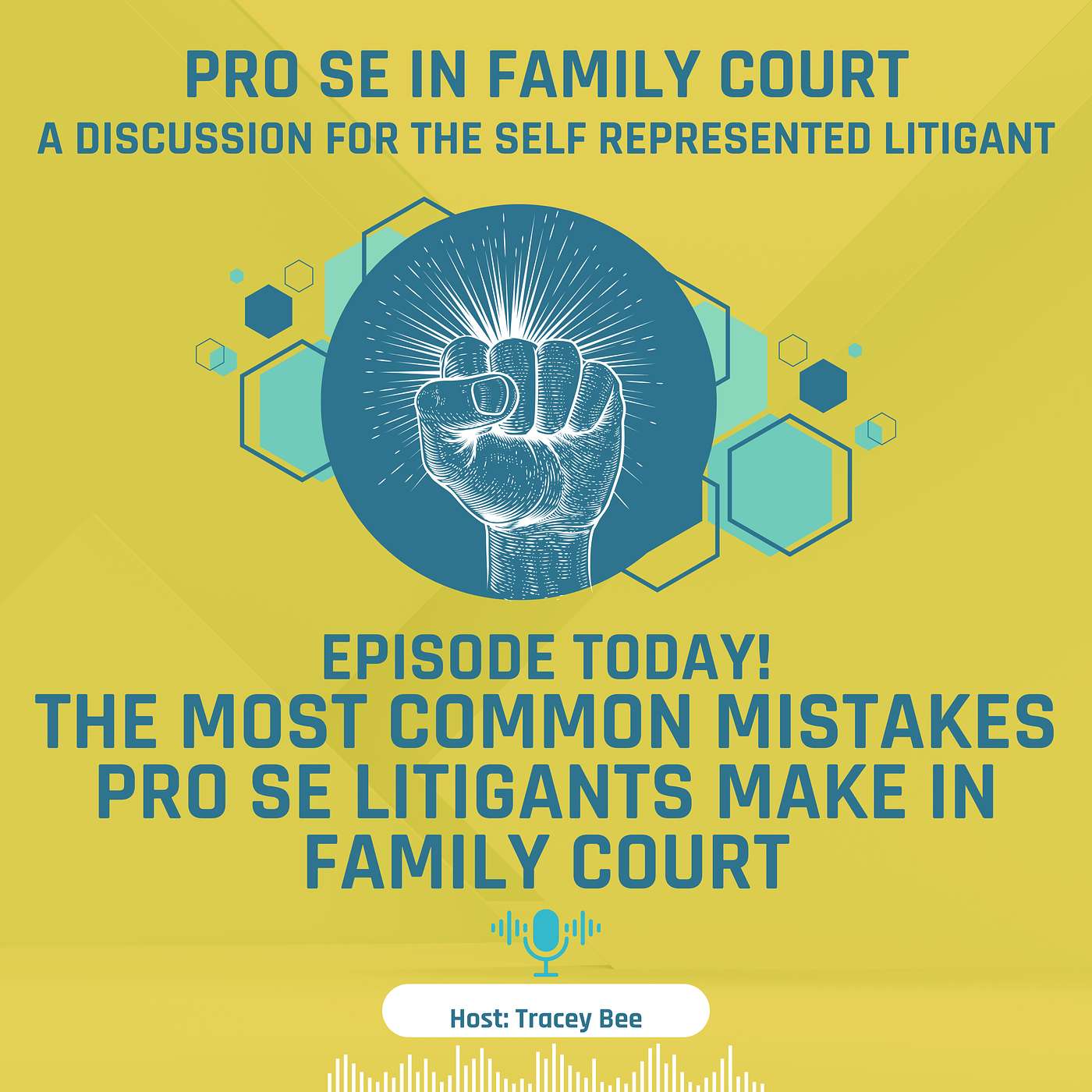 Episode 7: The Most Common Mistakes Pro Se Litigants Make in Family Court episode artwork