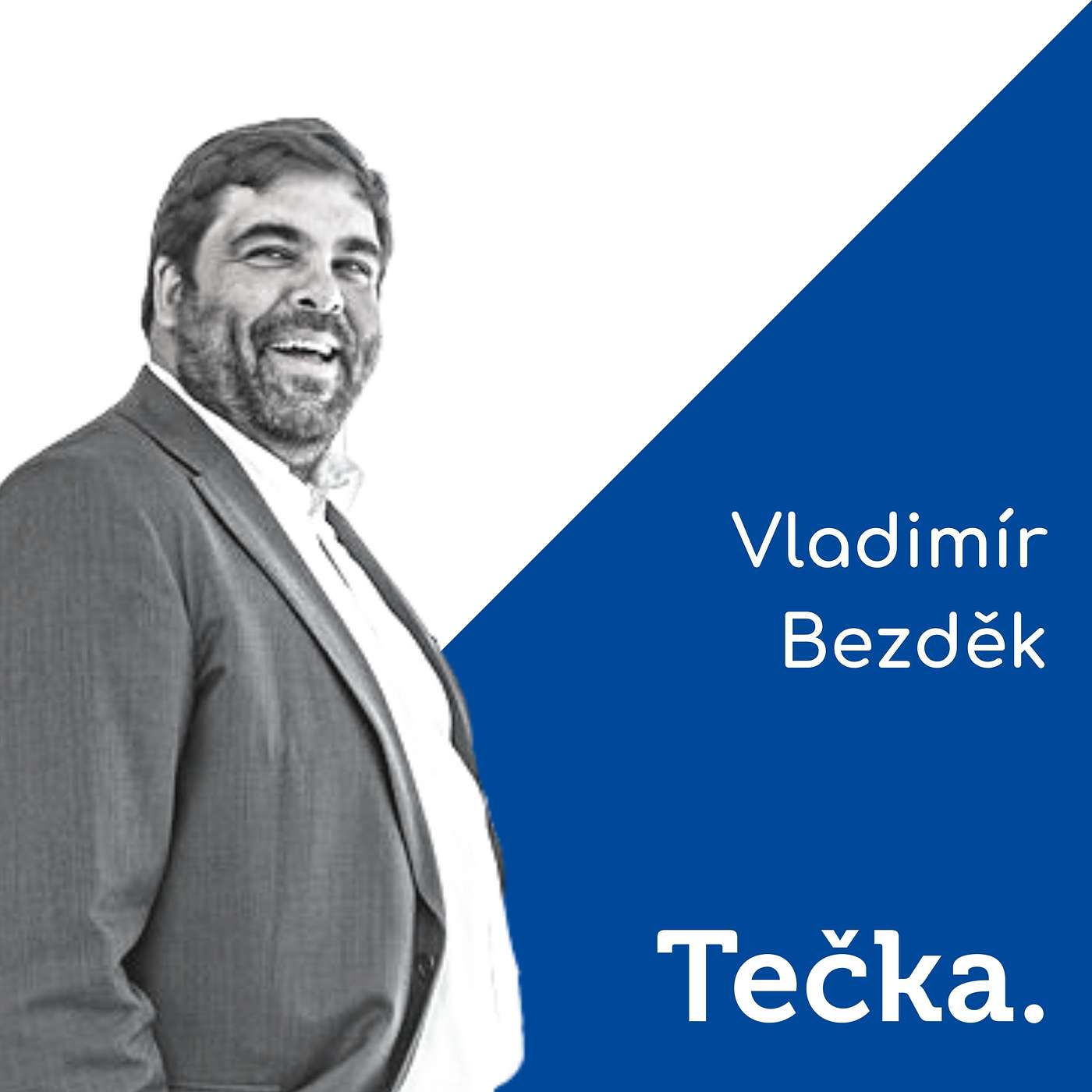 Vladimír Bezděk: Je nejvyšší čas naskočit do rozjetého vlaku digitalizace