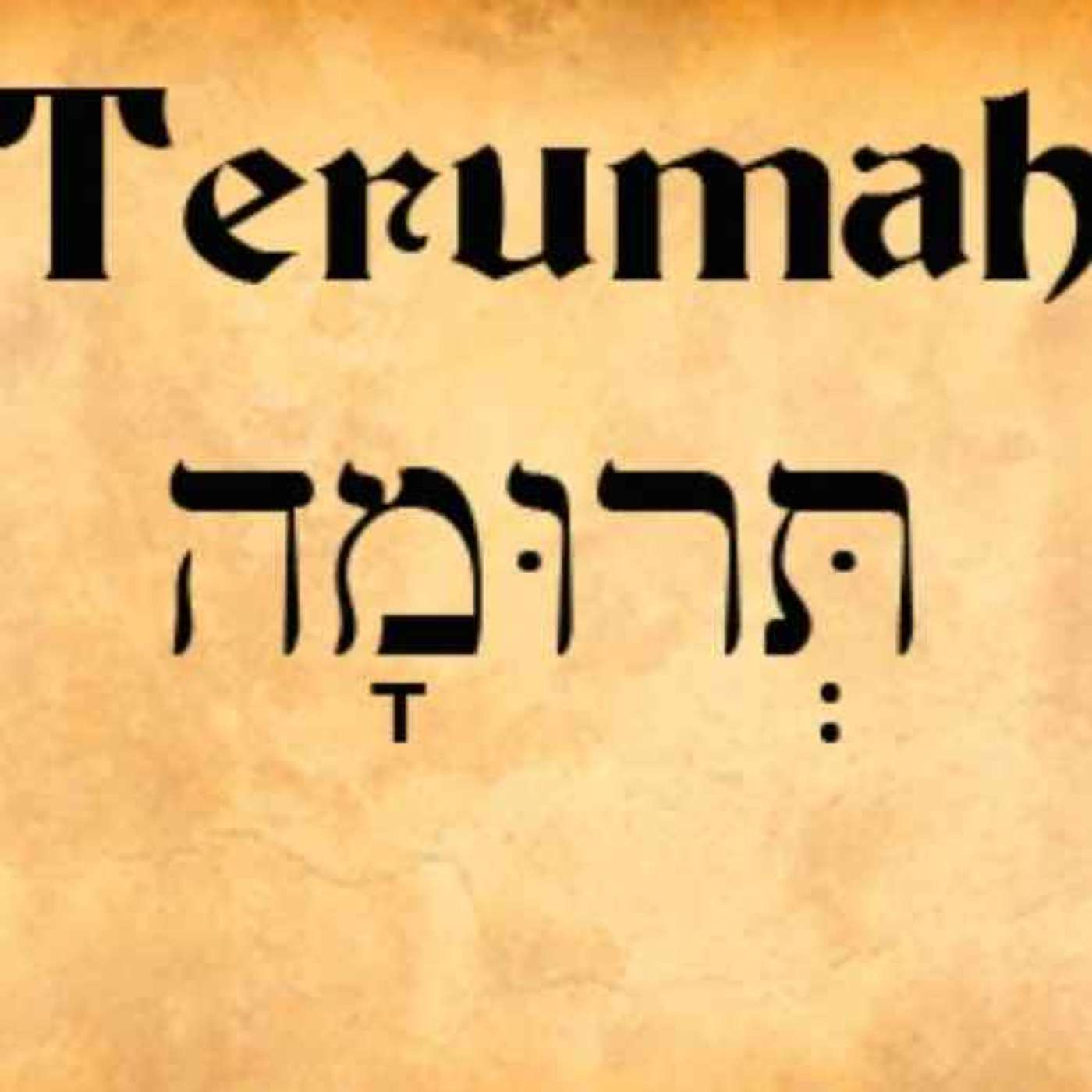Terumah: Exodus 25:1-27:19