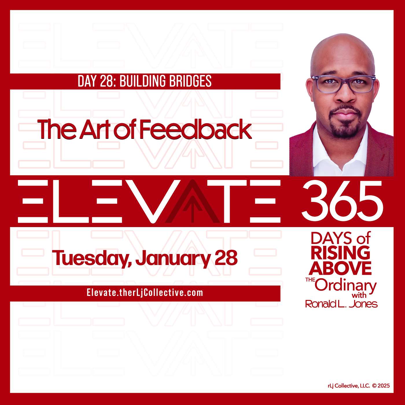 Day 28: The Art of Feedback
