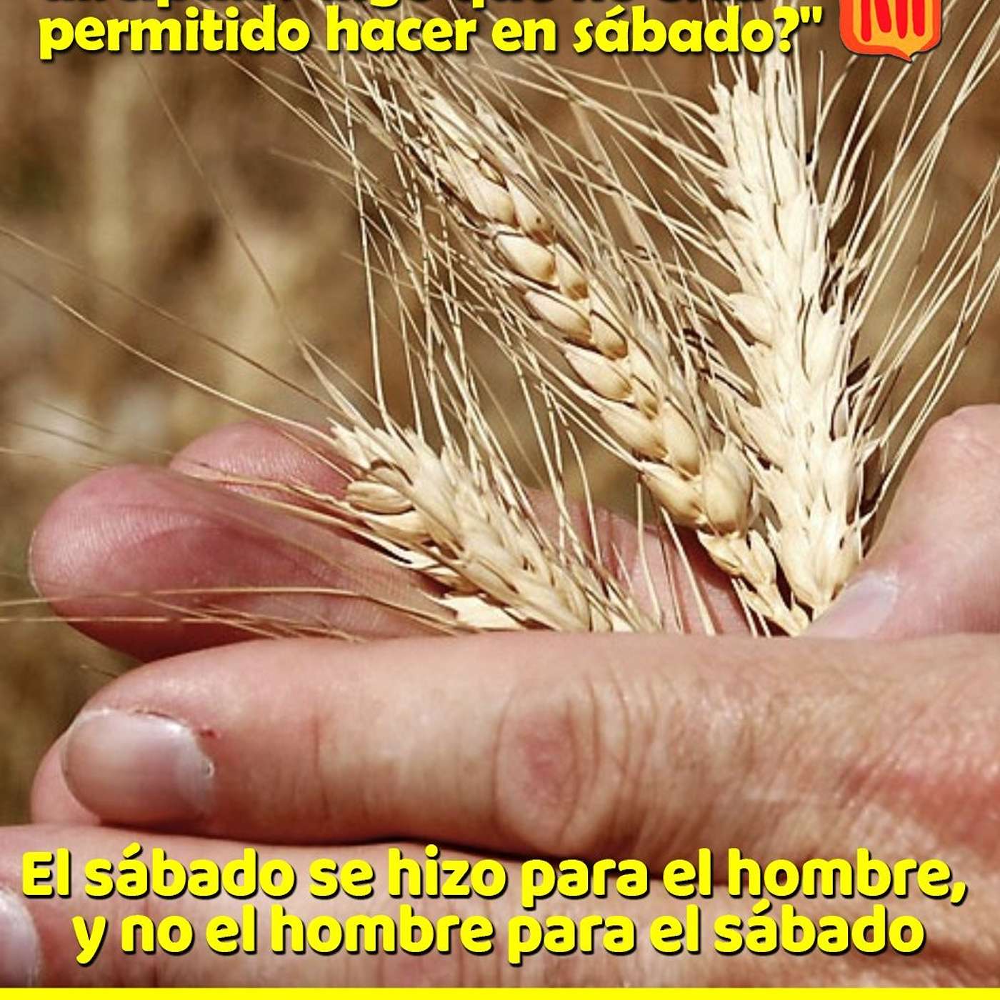 2024-01-16 San Marcos 2, 23-28 Martes II Tiempo Ordinario