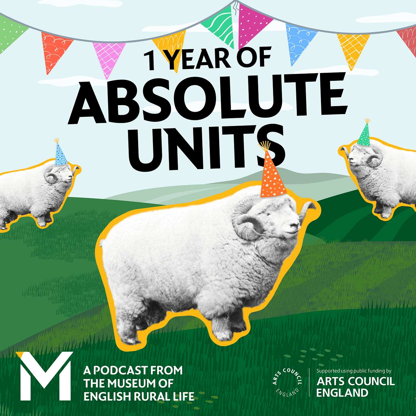 Celebrating 1 year of Absolute Units + listener questions