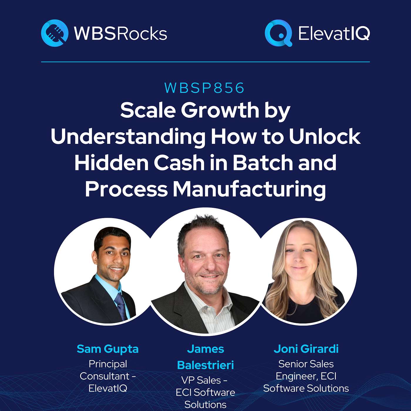 WBSP856: Scale Growth by Understanding How to Unlock Hidden Cash in Batch and Process Manufacturing Business, an Objective Panel Review episode artwork