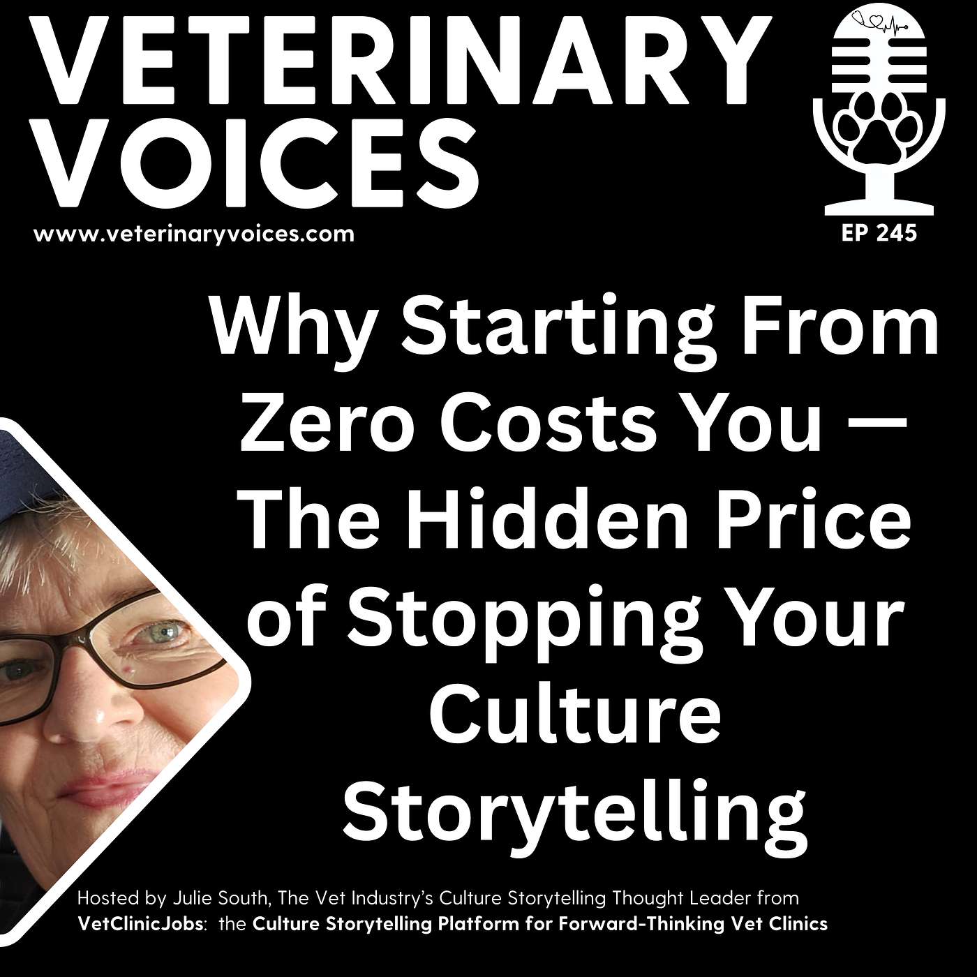 Why Starting From Scratch Costs You — The Hidden Price of Stopping Your Culture Storytelling - ep 245