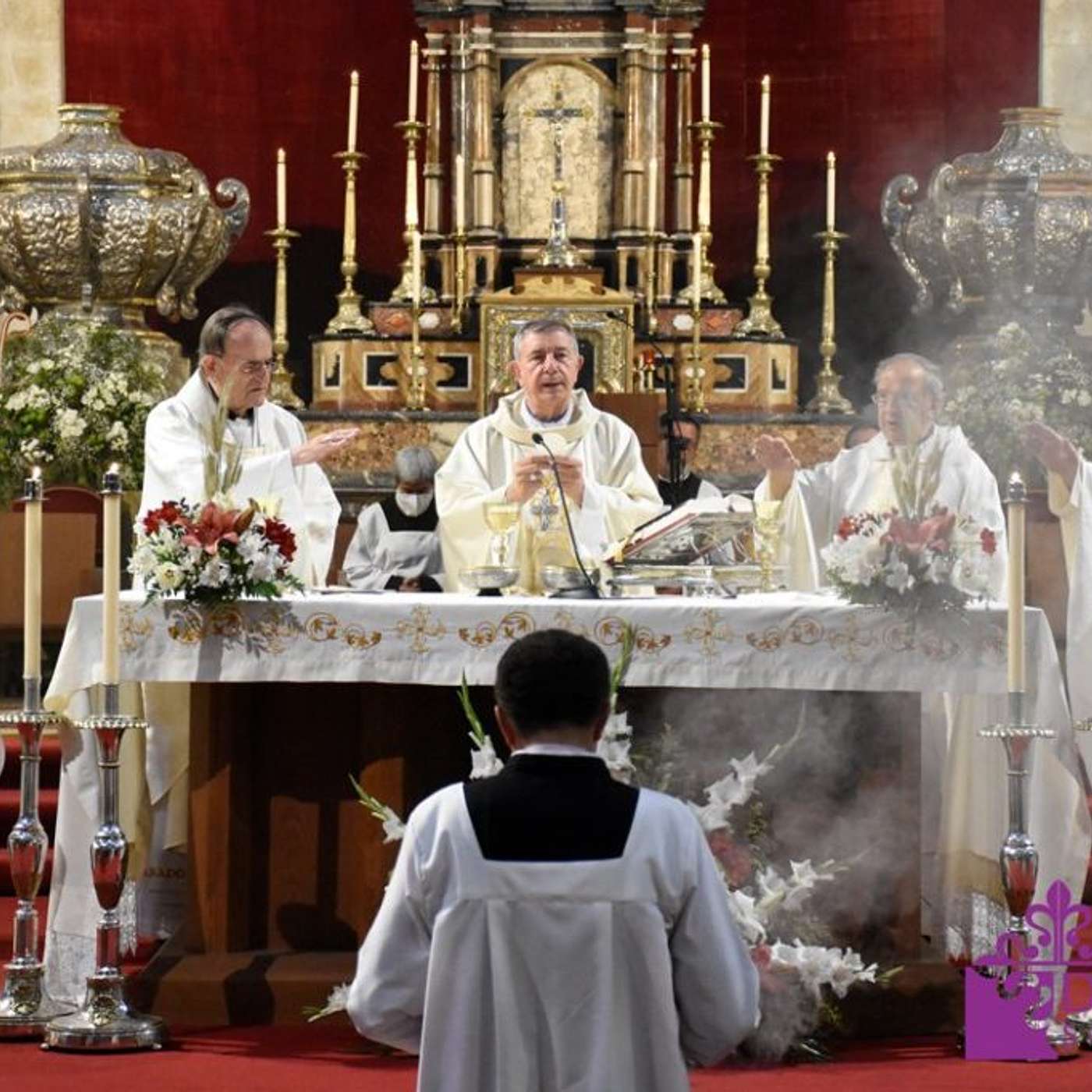 Episodio 833: 🤔¿NO hay Qué Arrodillarse Durante La Consagración En La Santa Misa En Día De Solemnidad? Luis Roman episode artwork