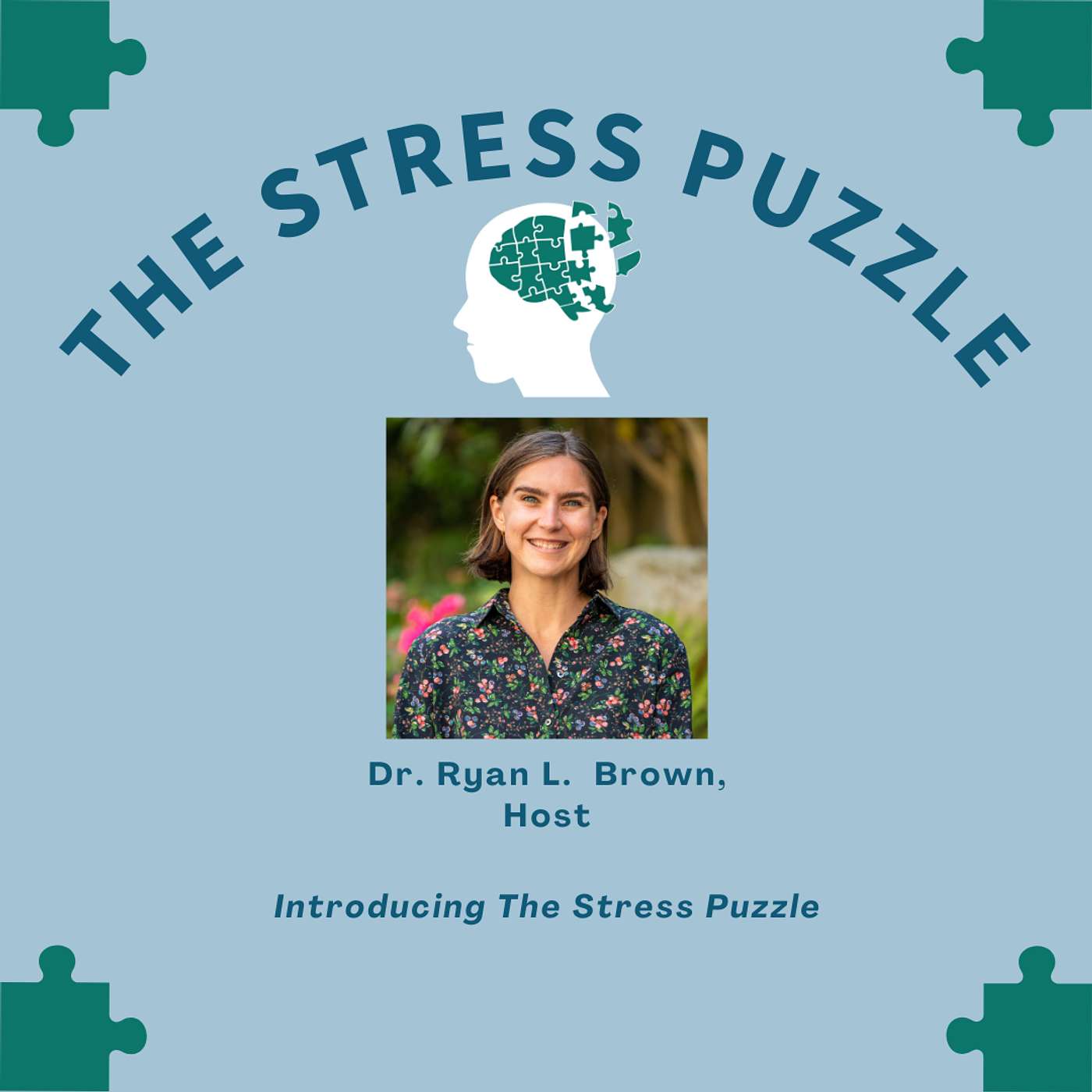The Stress Puzzle