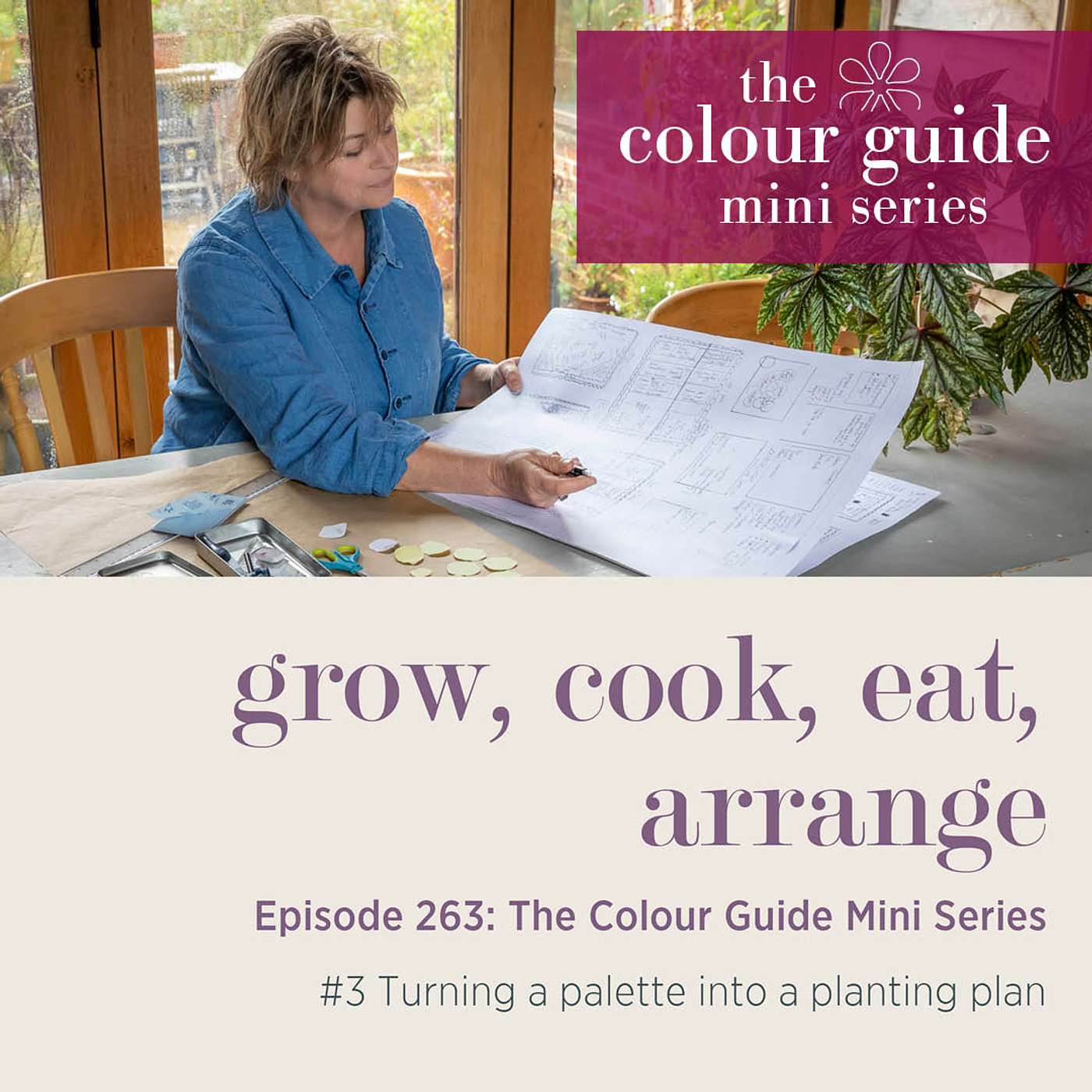 The Colour Guide Mini Series #3: Turning a palette into a planting plan - Episode 263