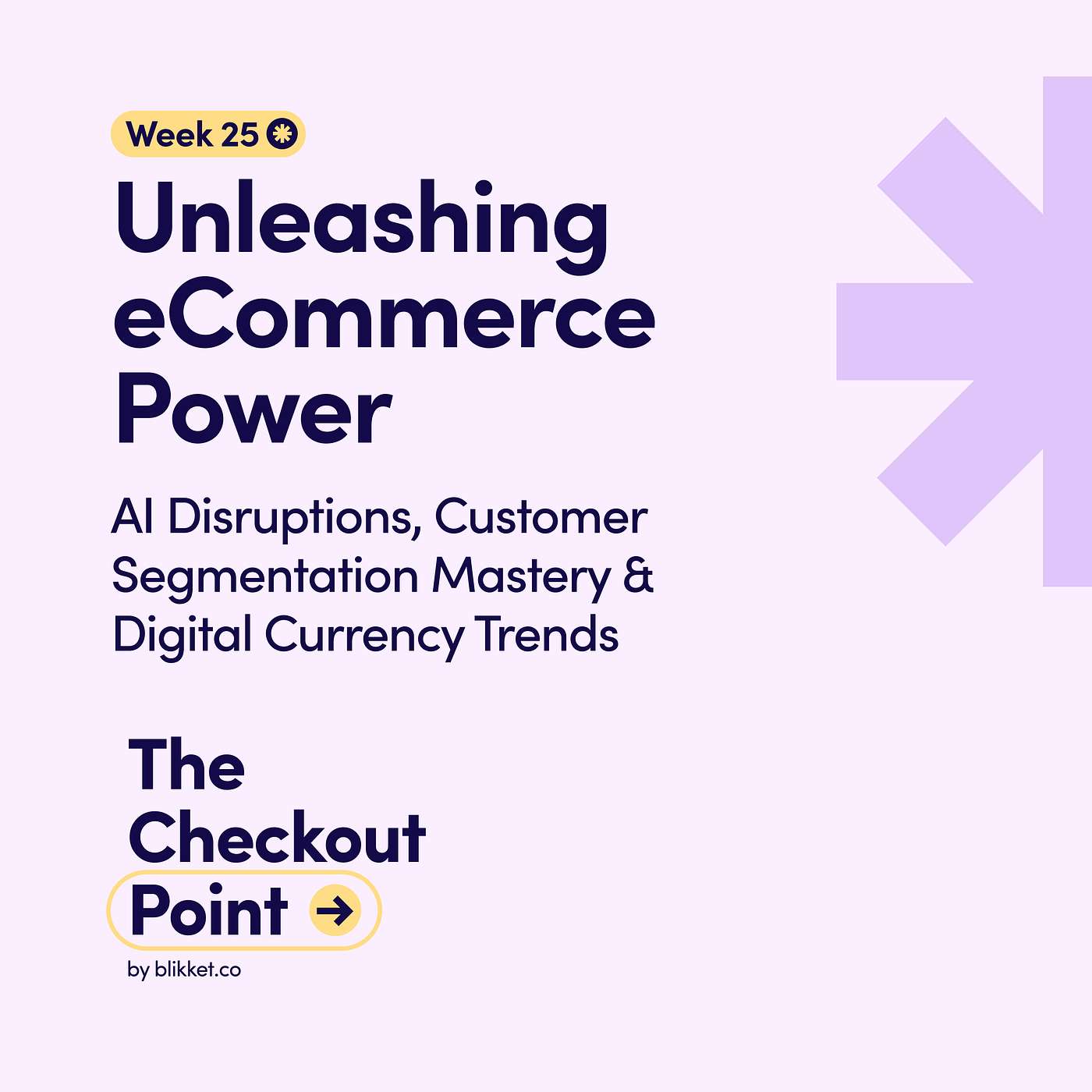 The Checkout Point by Blikket.co - Weekly eCommerce Insights Digest