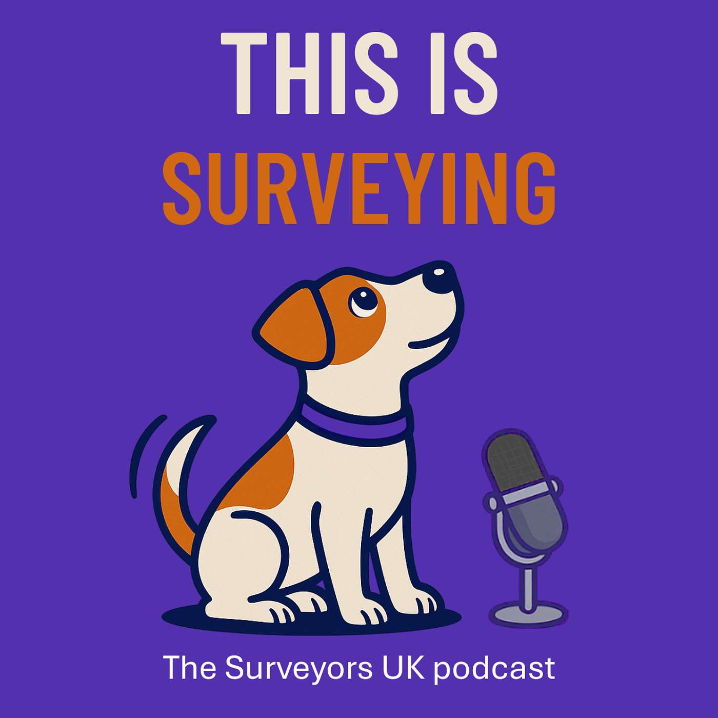 This is Surveying - Nina Young - Surveyors UK