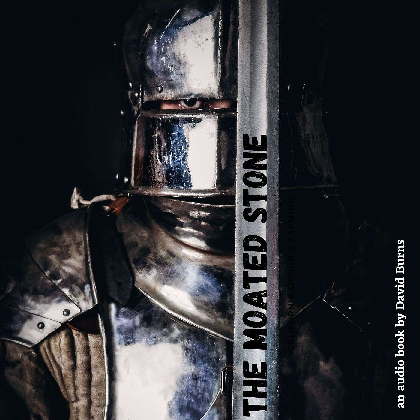 David Burns's Podcast - The Moated Stone